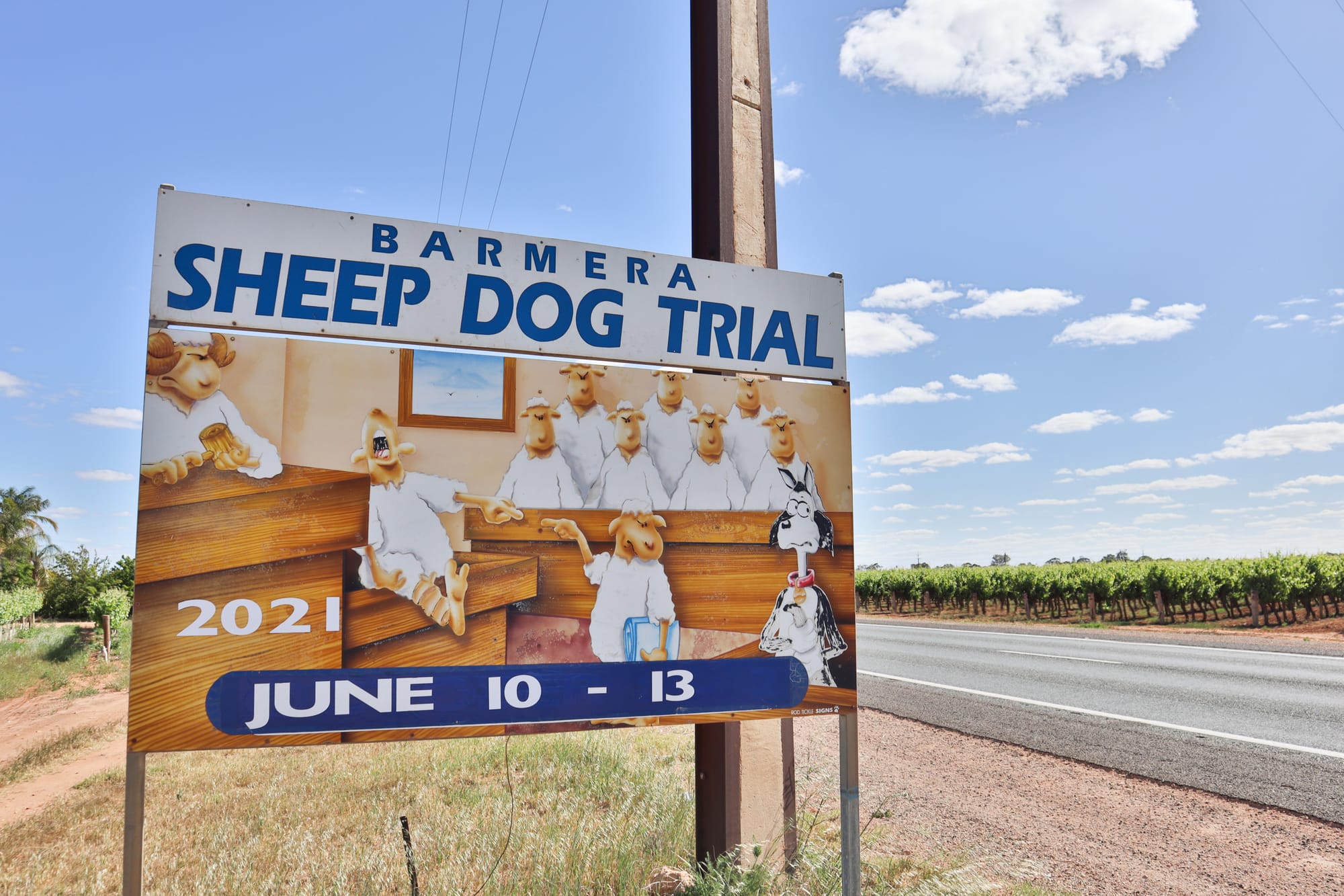 Sheep dog signs to be renewed