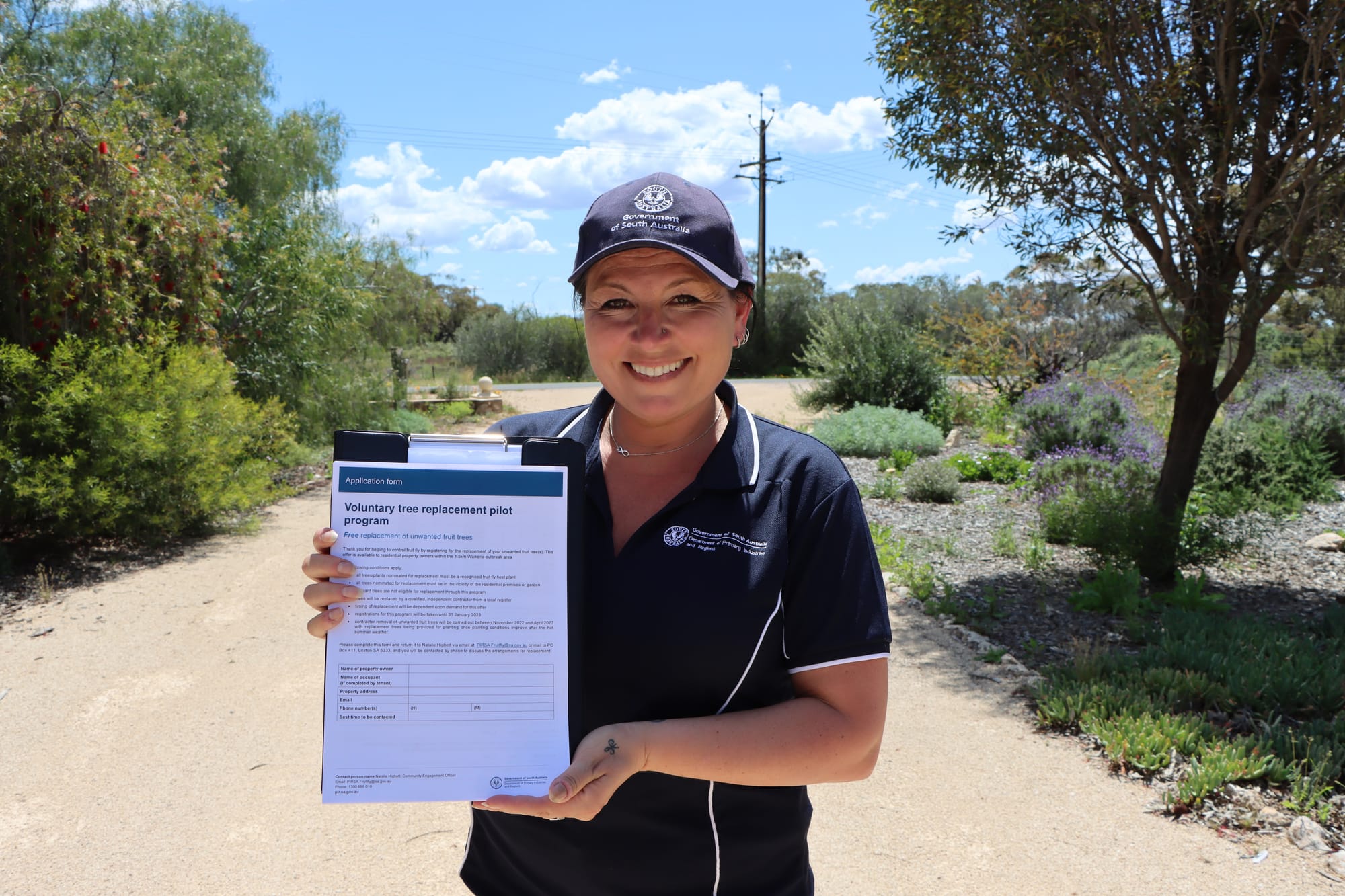 Tree replacement applications open