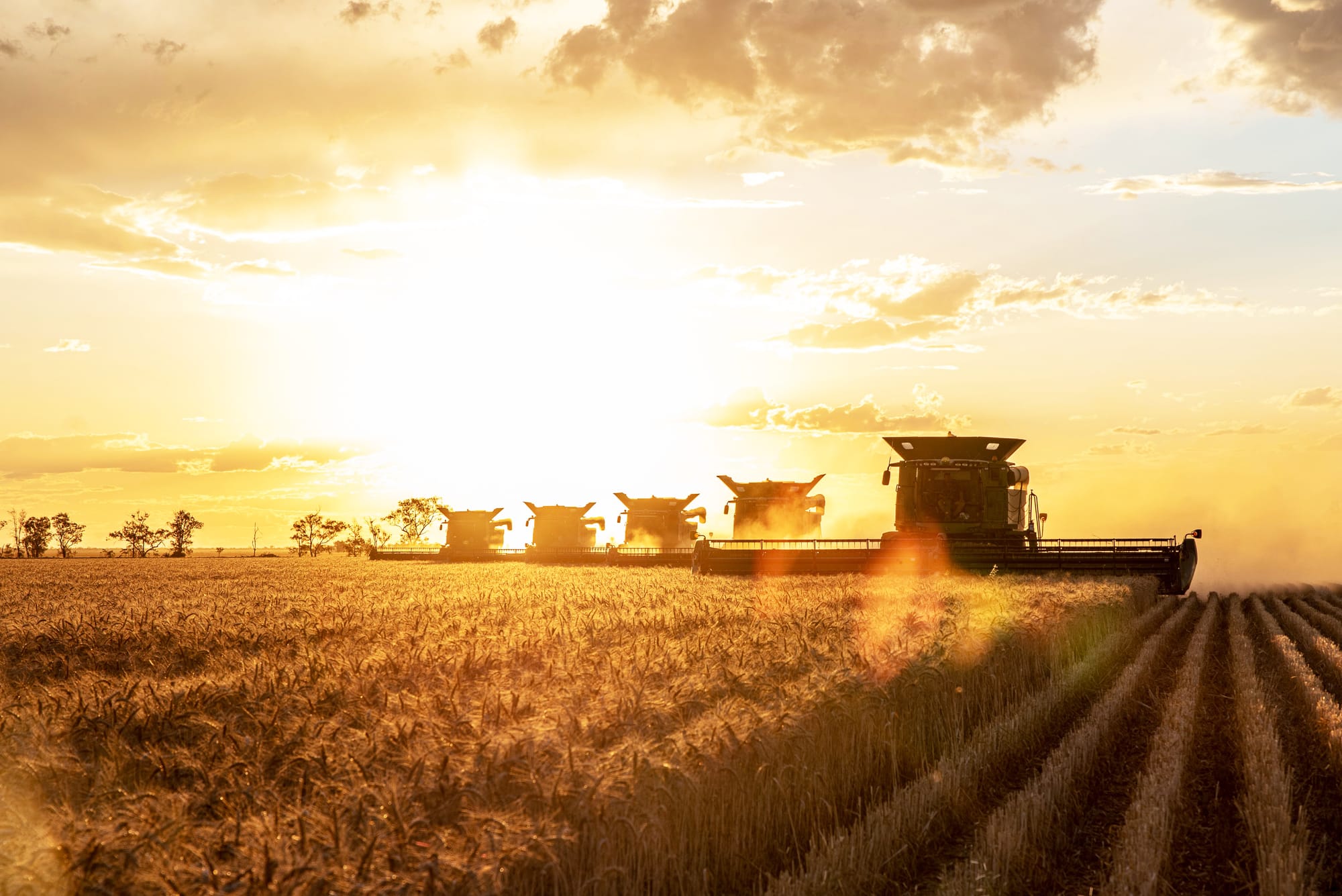 Industry ‘will survive Trump tariffs’