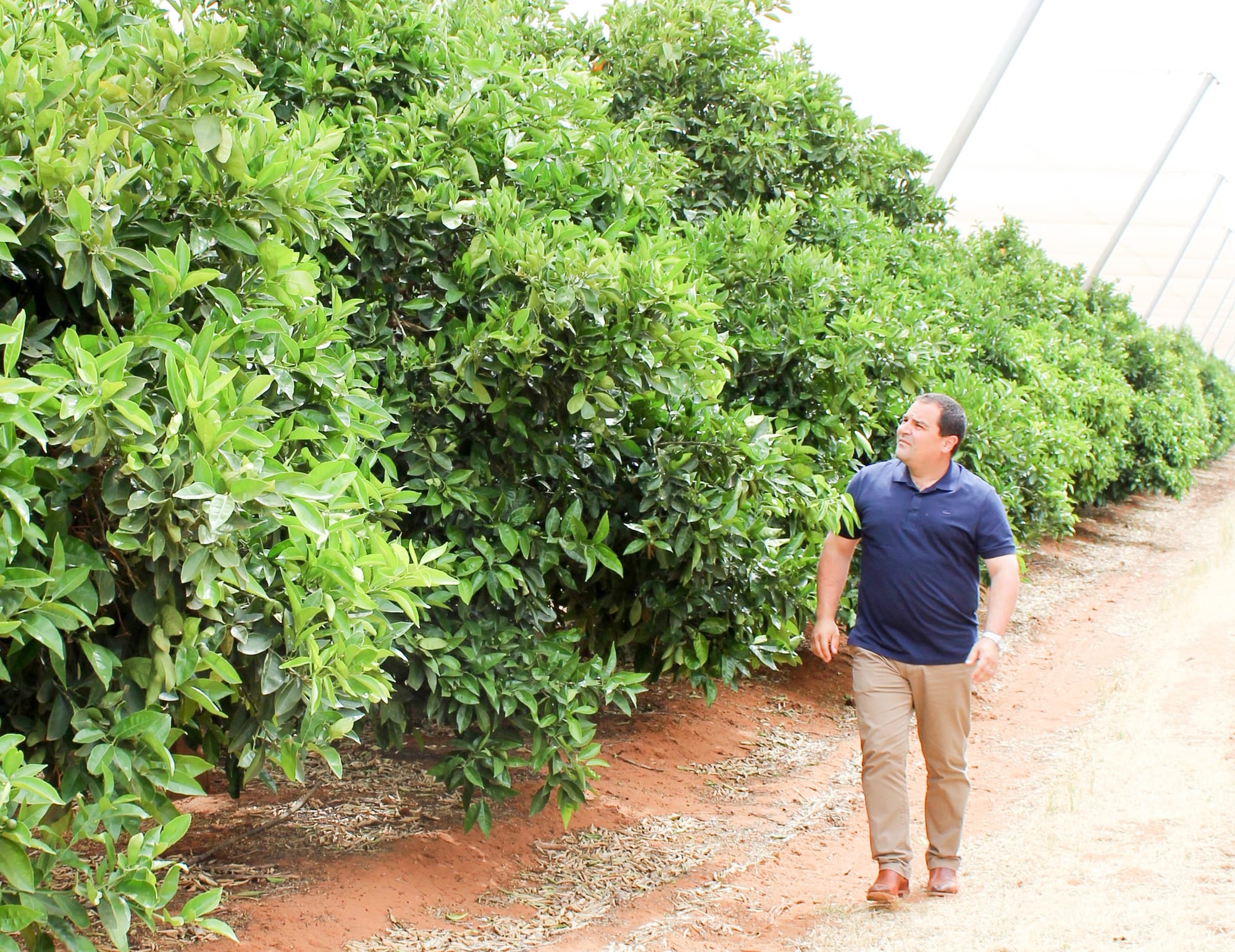 Ag visa to be an industry saviour