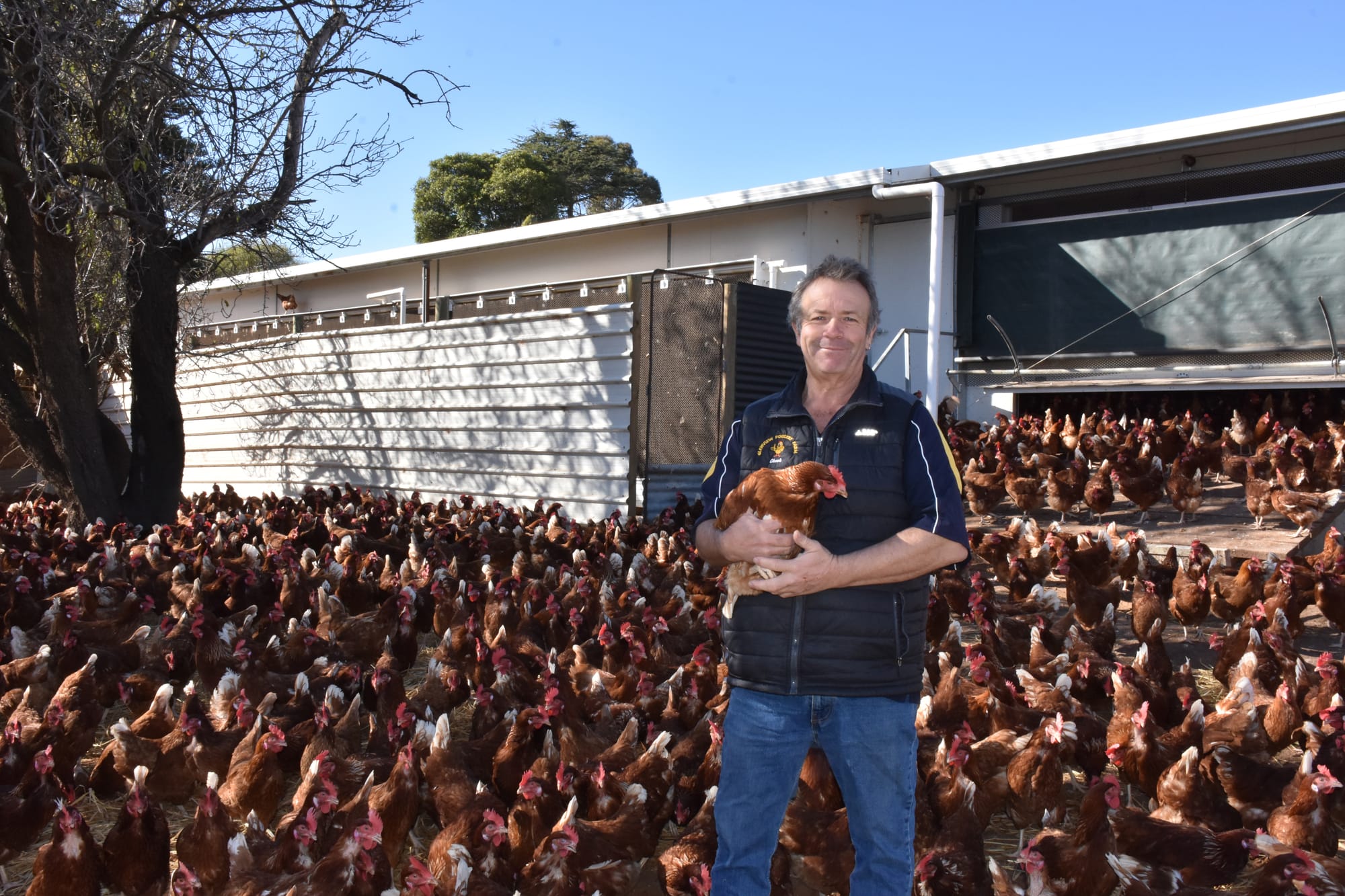 The Riverland’s scramble for eggs