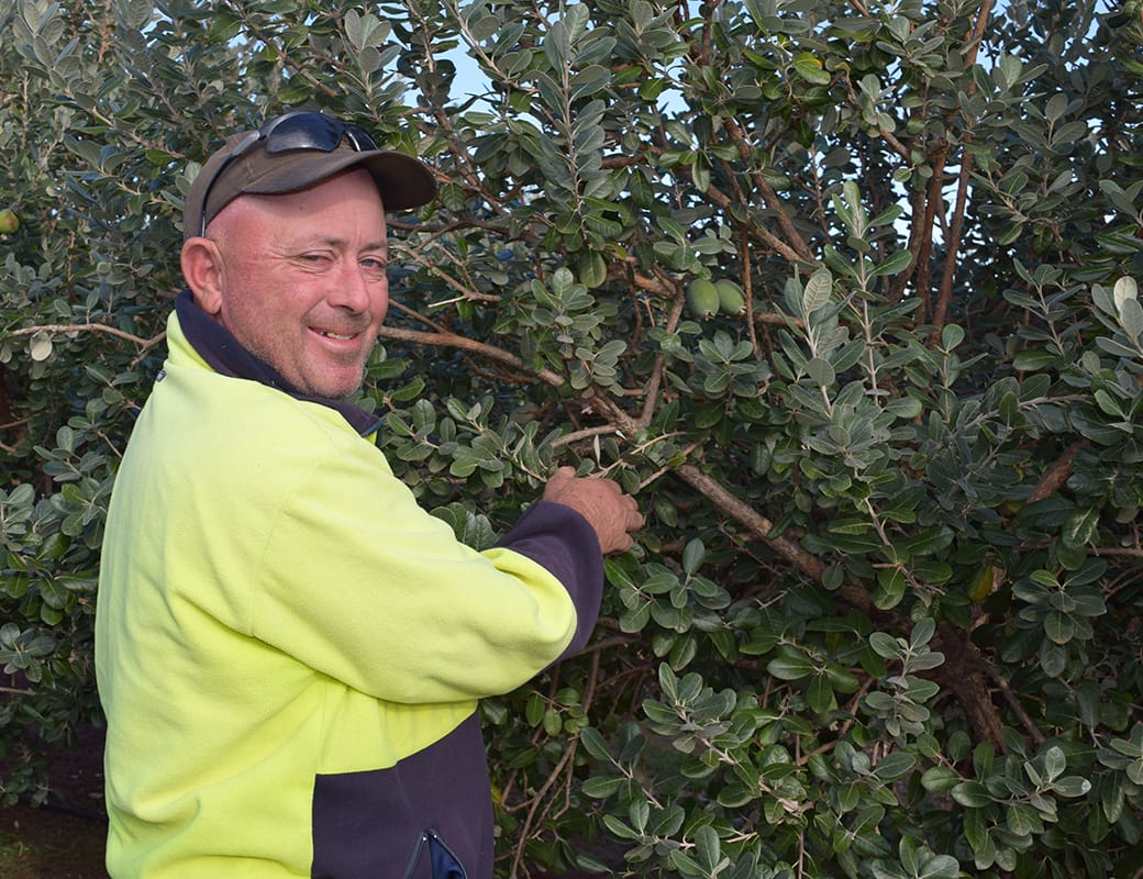 Cracking a niche market