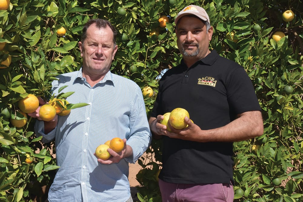 Calls to end complacency… The winter of discontent