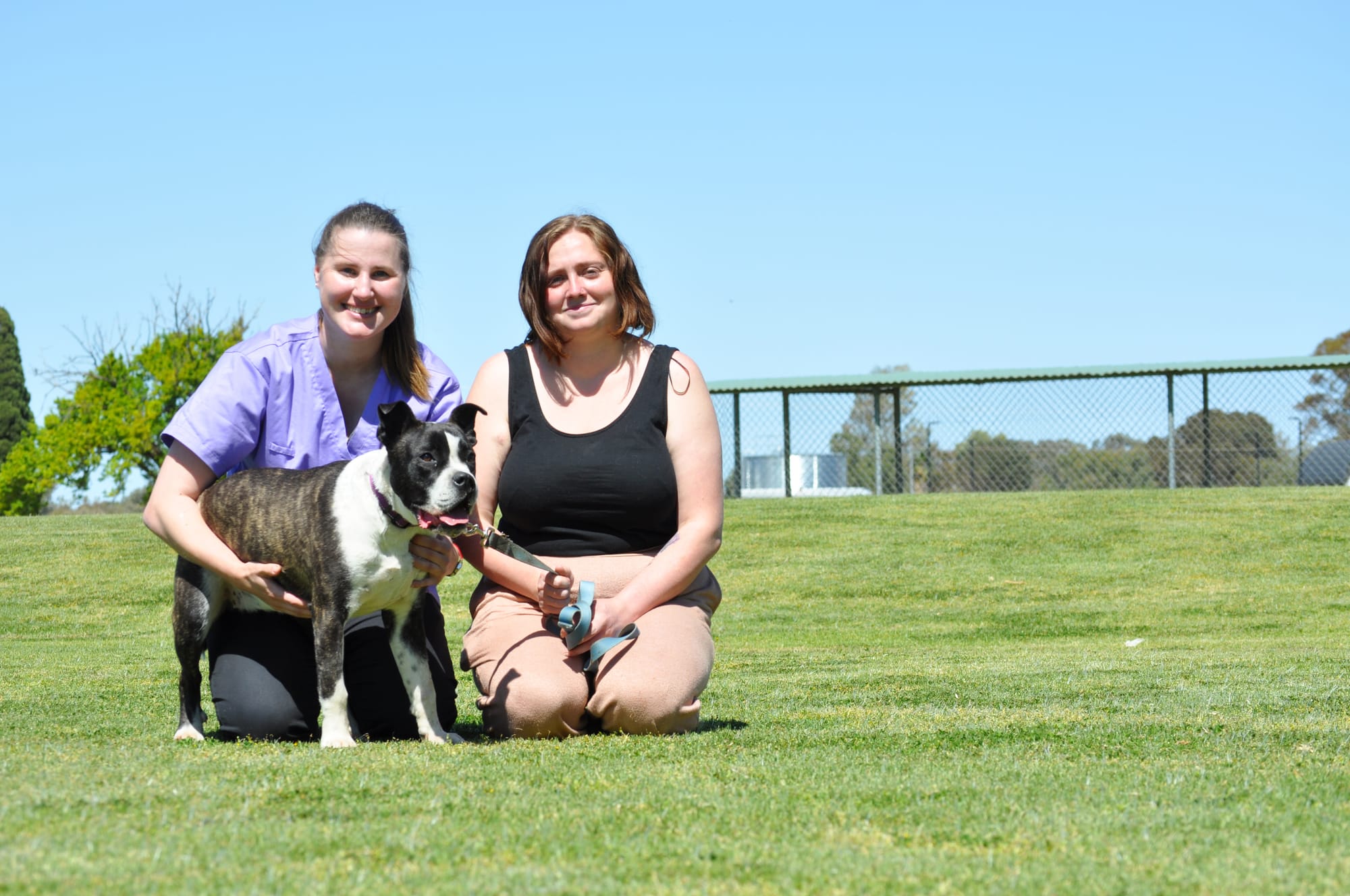 Helping out vulnerable pets... and their owners