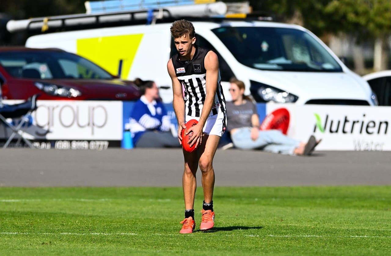 Magpies inside the top two