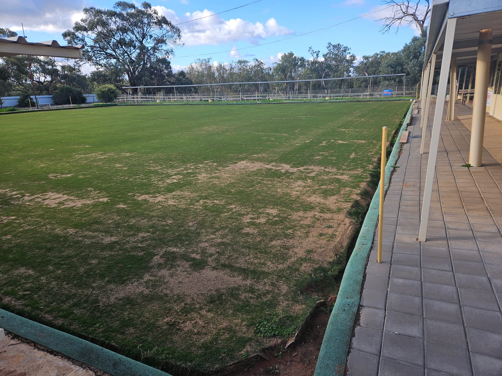 Grass is greener at Moorook