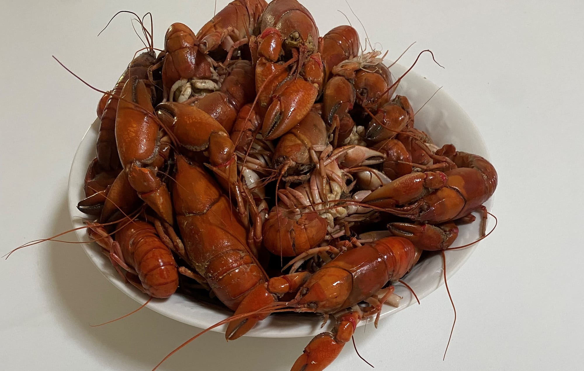 How to kill your yabbies