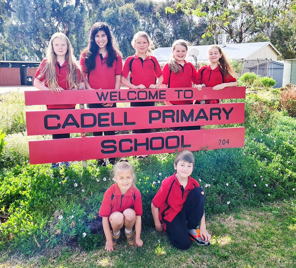 A bittersweet amalgamation