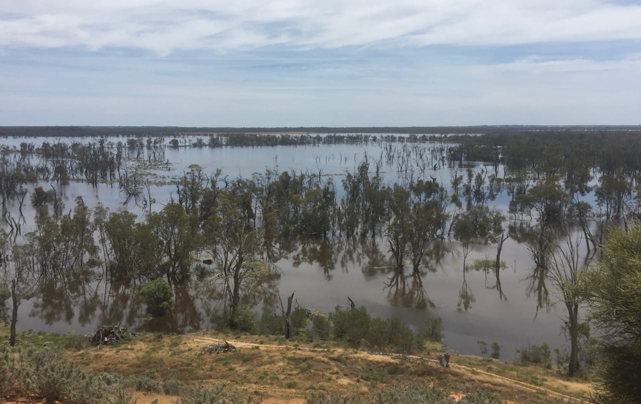 Here comes the sun: Magical memories of summertimes past in the Riverland