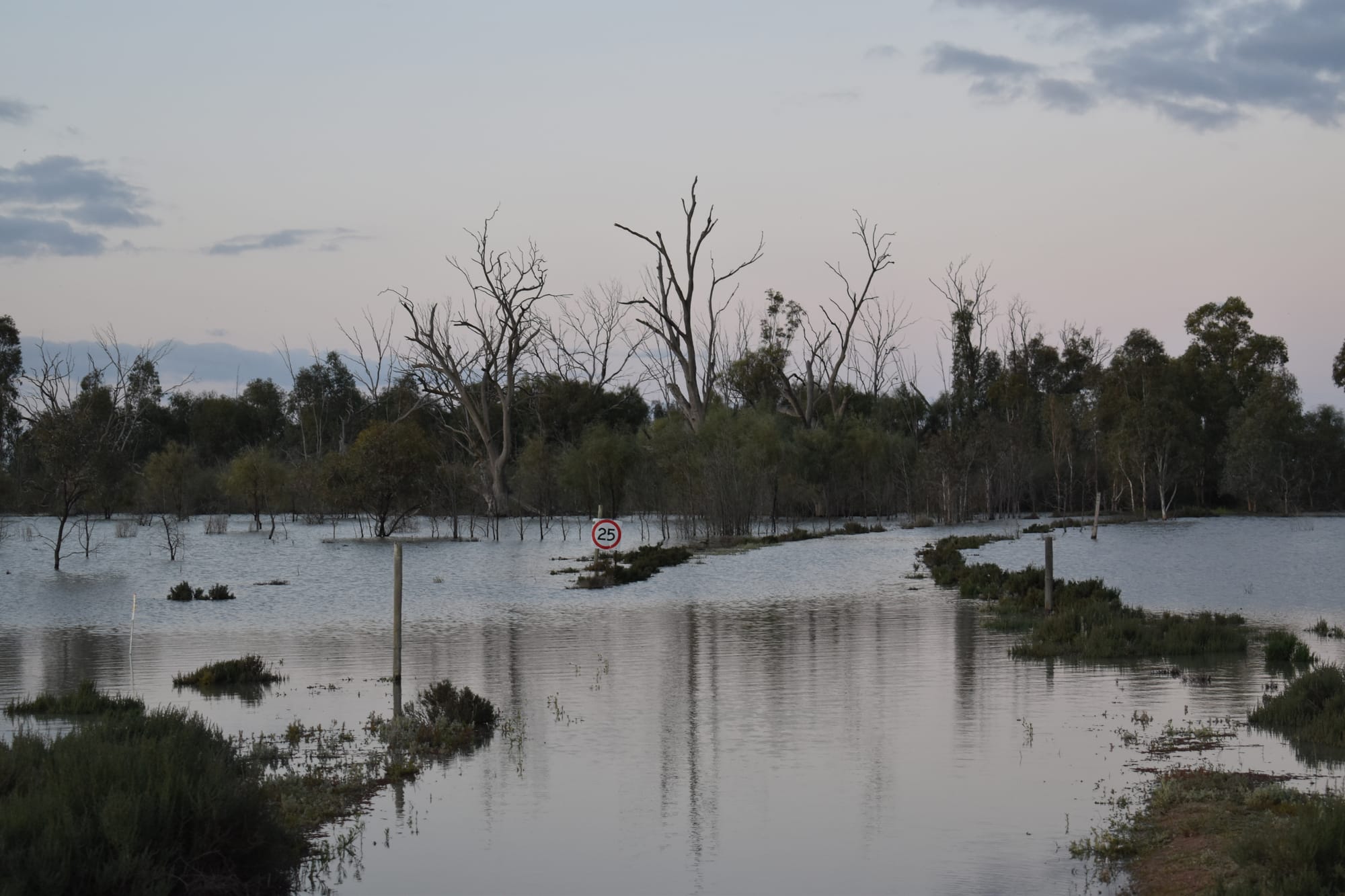 Earthwatch program open at Calperum Station