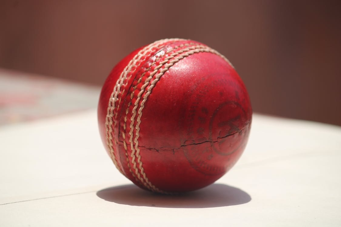 Junior cricketers at carnival