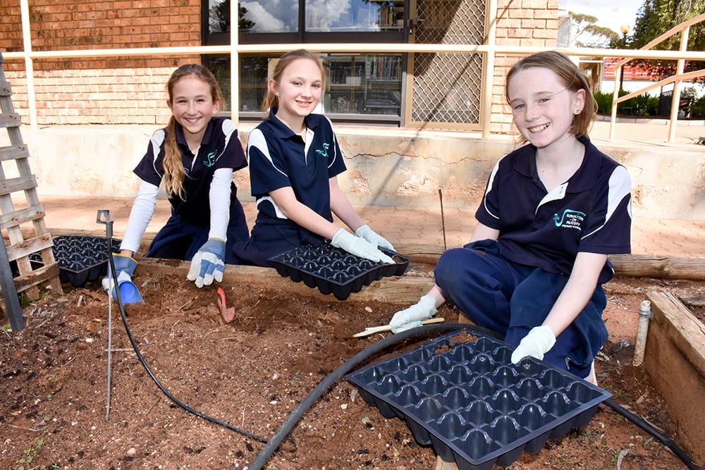 A great program for great students