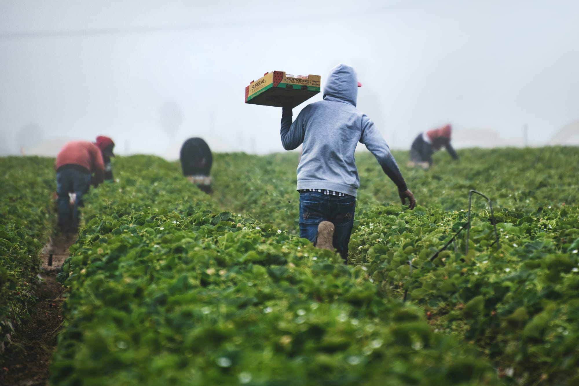 Riverland group welcomes UK worker scheme