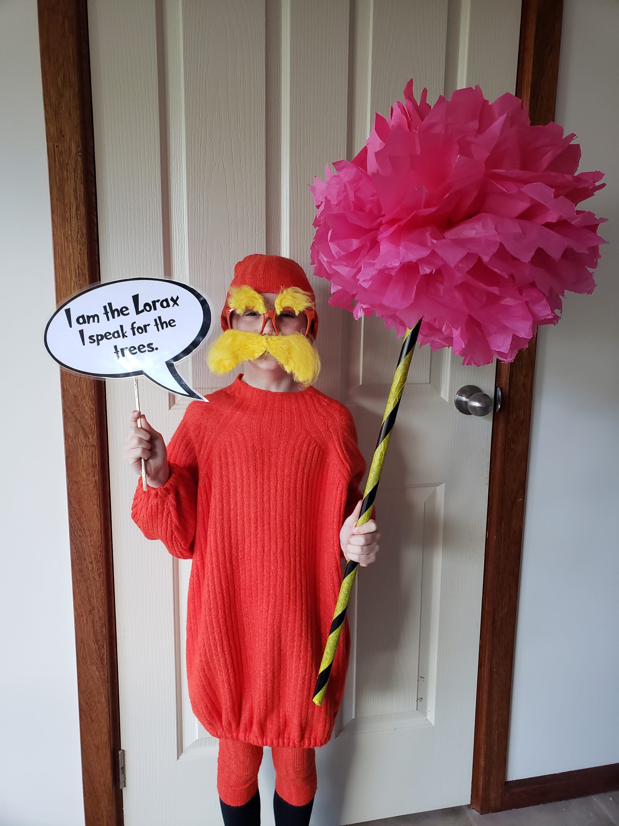 Berri Primary School student Elise Smith, 8, as Dr Seuss' The Lorax.