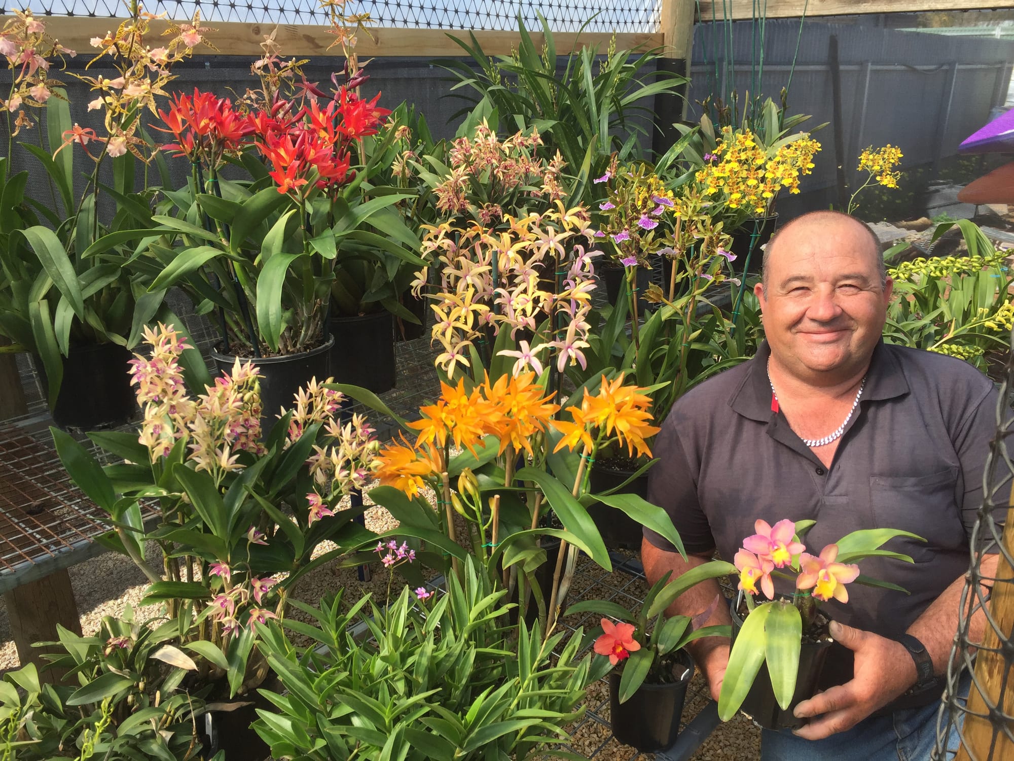 Judges converge for Riverland Orchid Spectacular this weekend