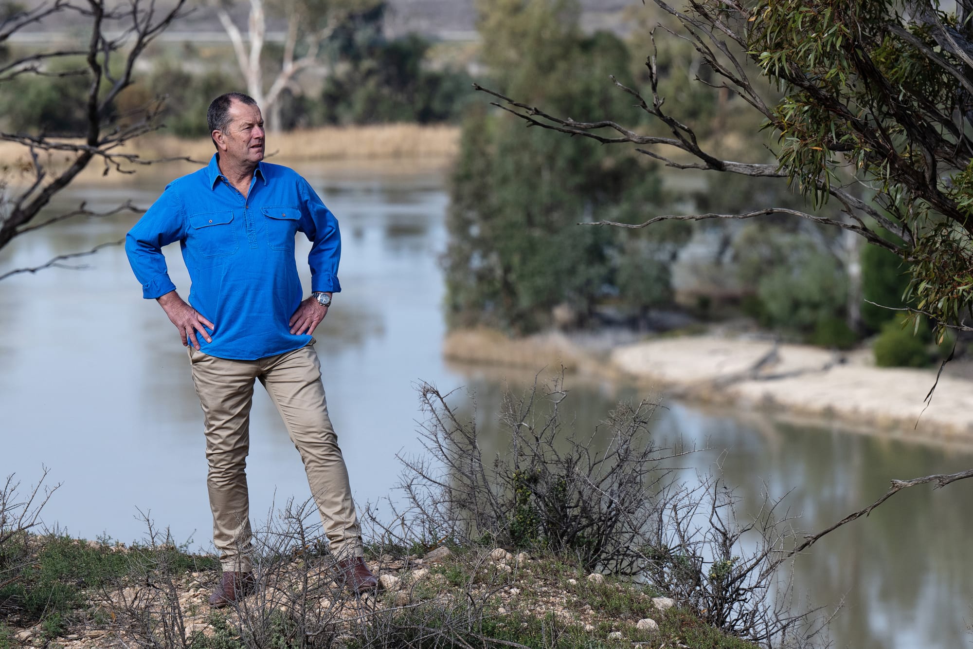 Riverland Liberals on same buyback page