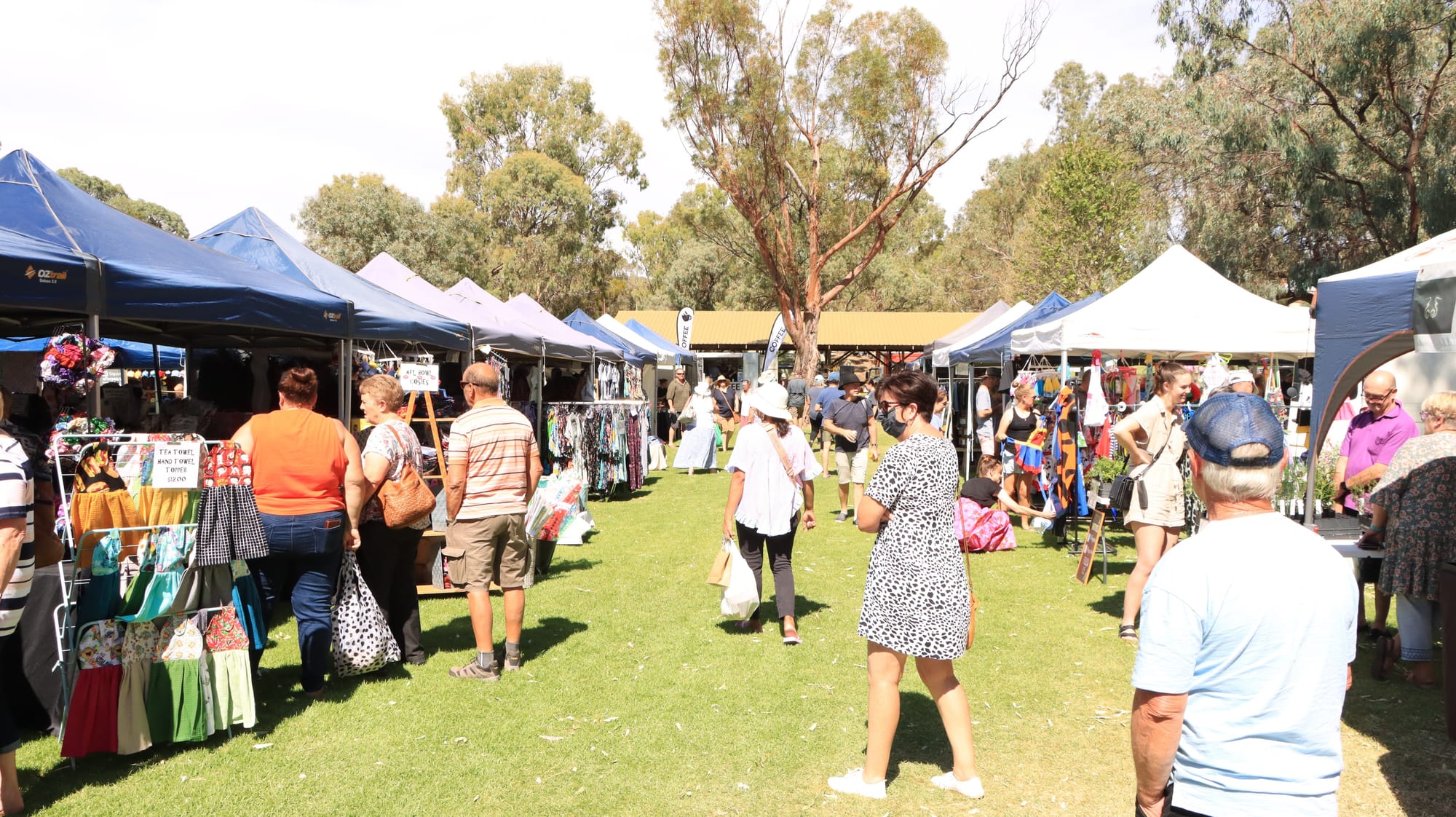 Waikerie Father’s Day market to be held on town’s river front