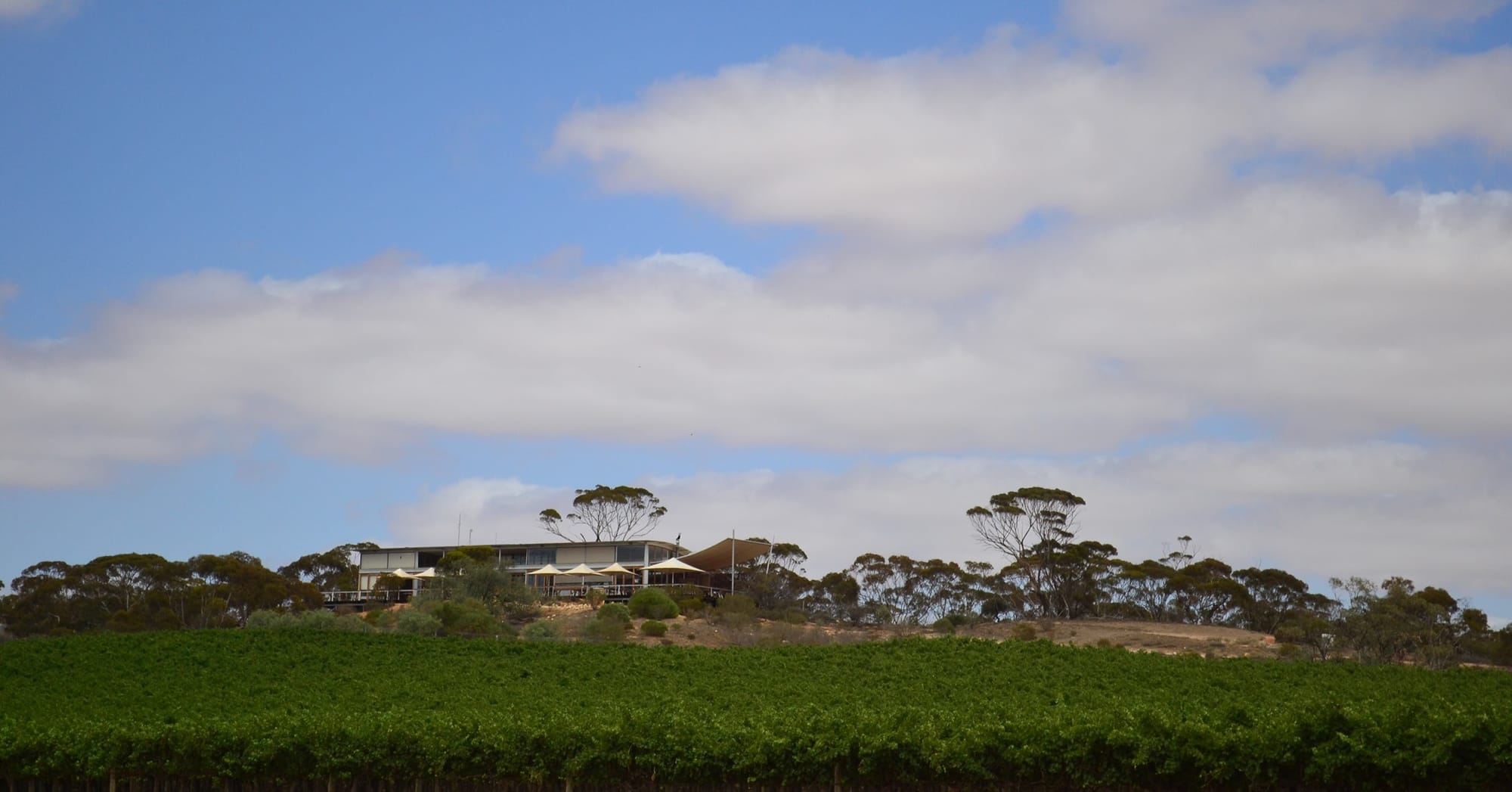 Banrock sale process under way