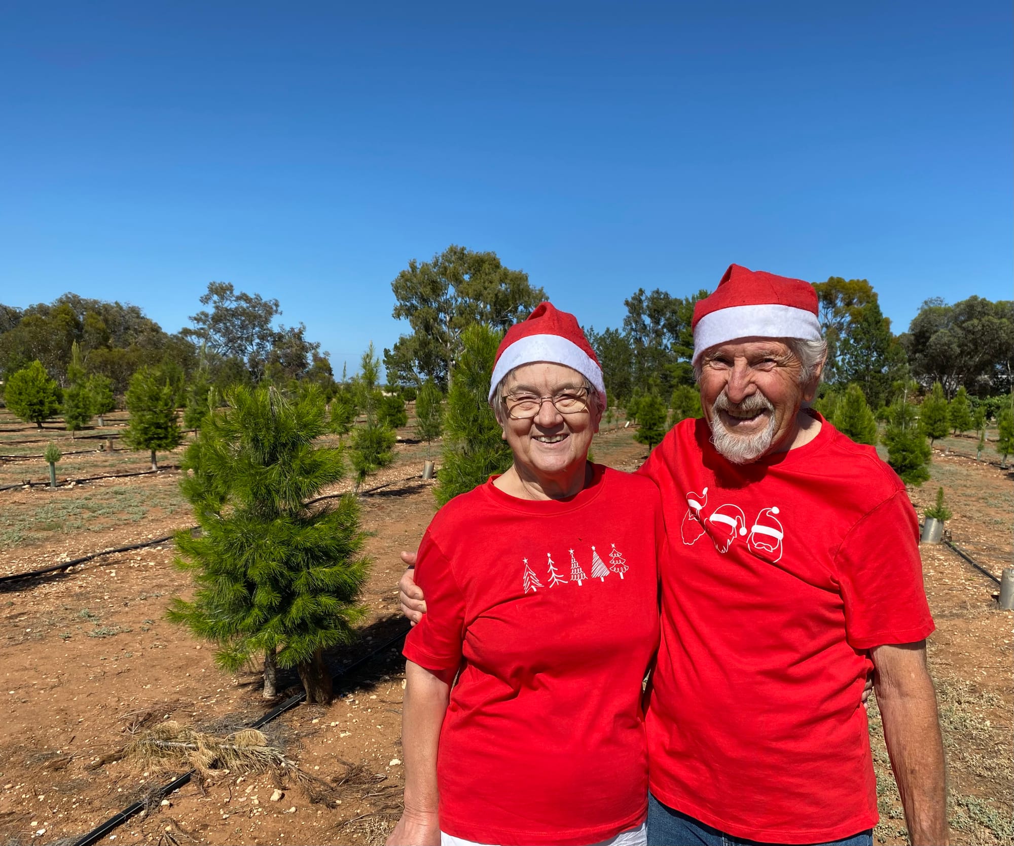 O Christmas Tree, O Christmas Tree: 20 years of festive magic with Ed and Marg
