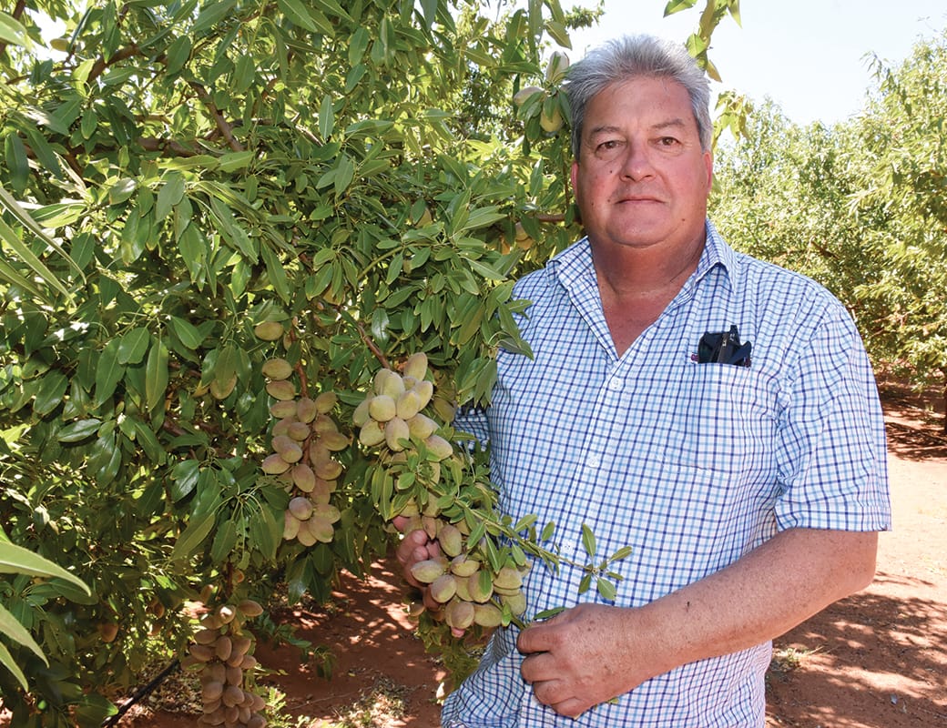 Grower confidence in “very high” quality Riverland almonds