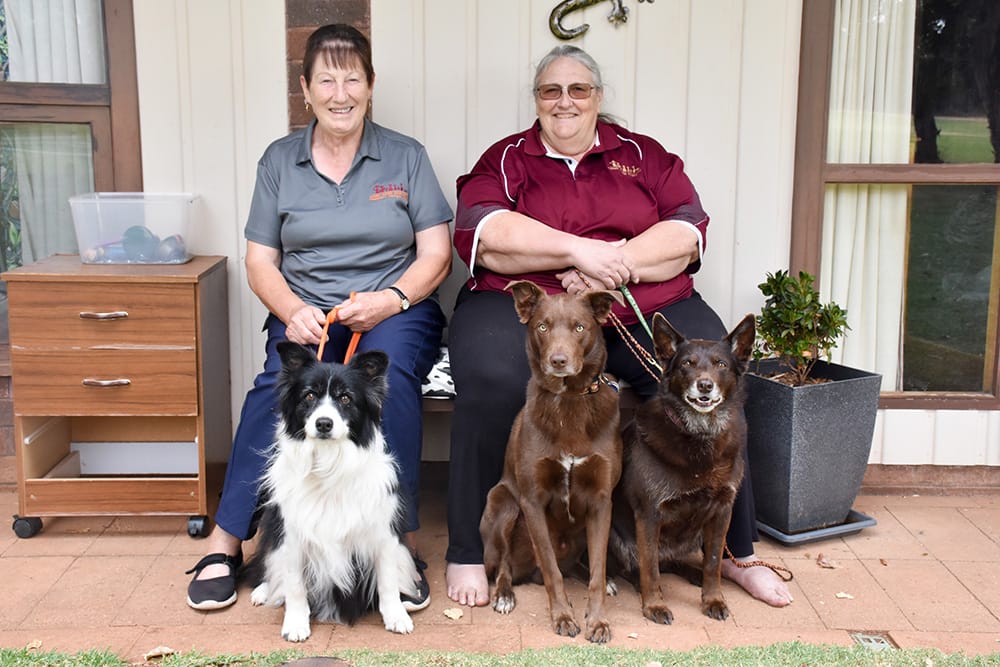 Canine Companions’ caring recognised