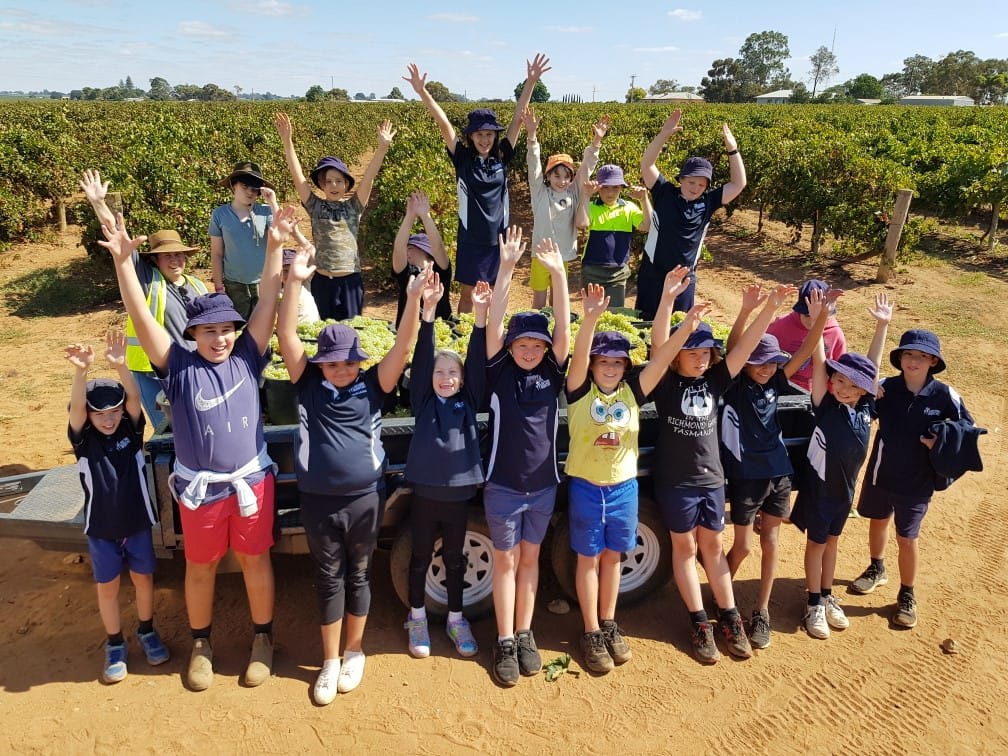 Another grape Harvest Festival