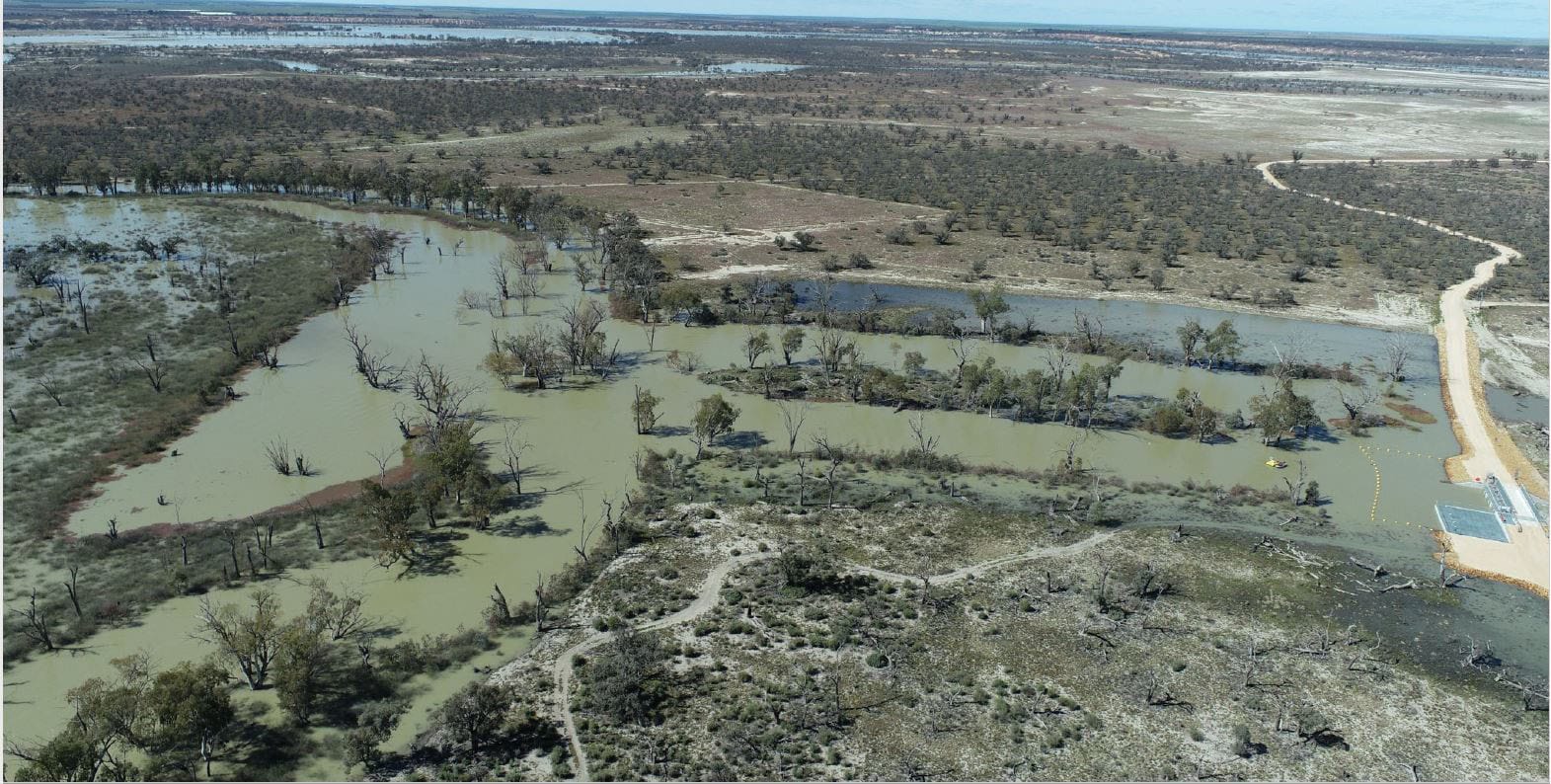 High flows ‘fantastic’ for our local floodplains
