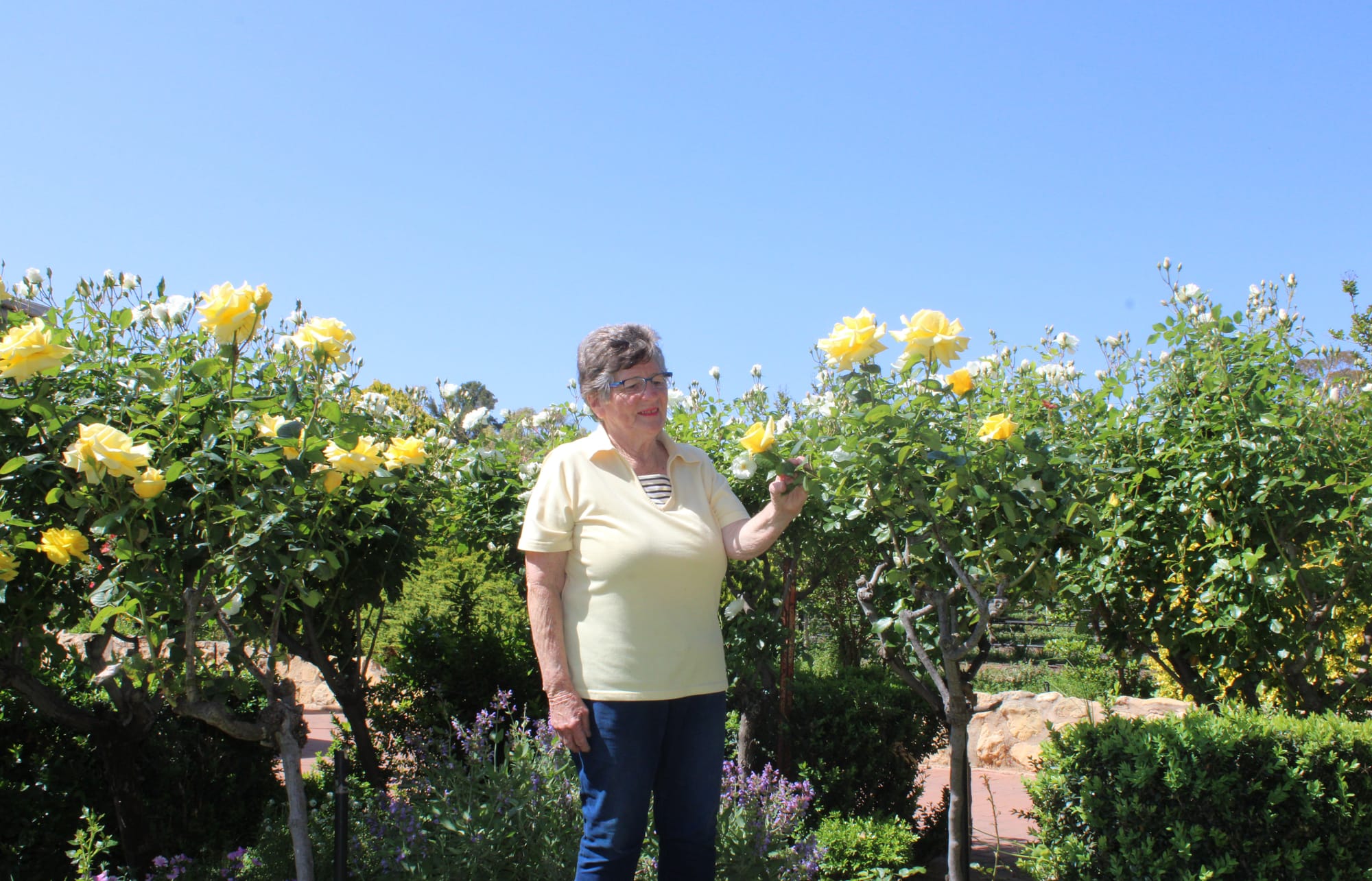 Blooms of Riverland West on show