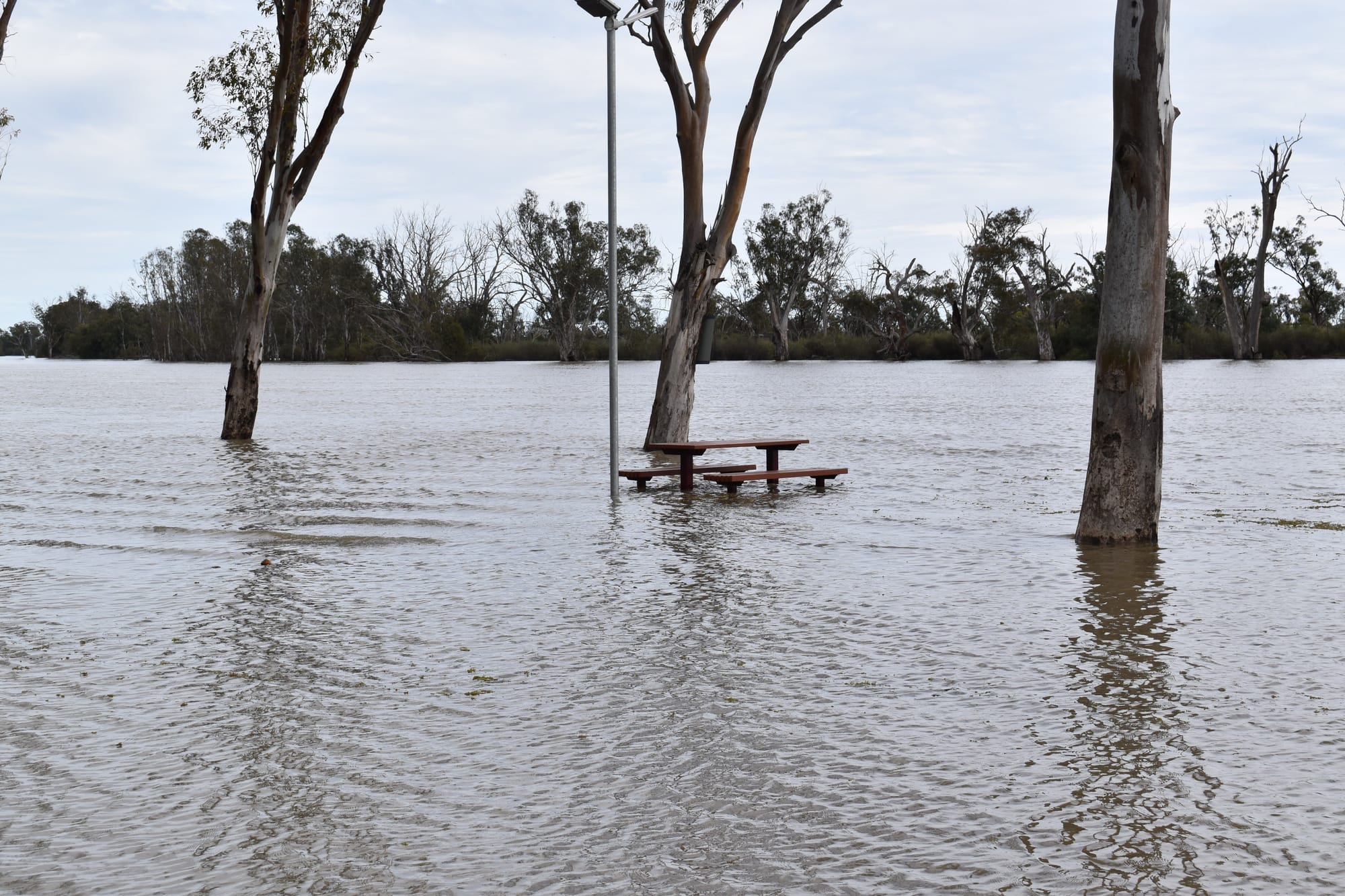 High river impacts Loxton Waikerie infrastructure