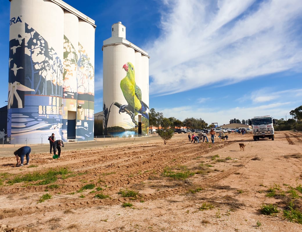 Community supports silo garden
