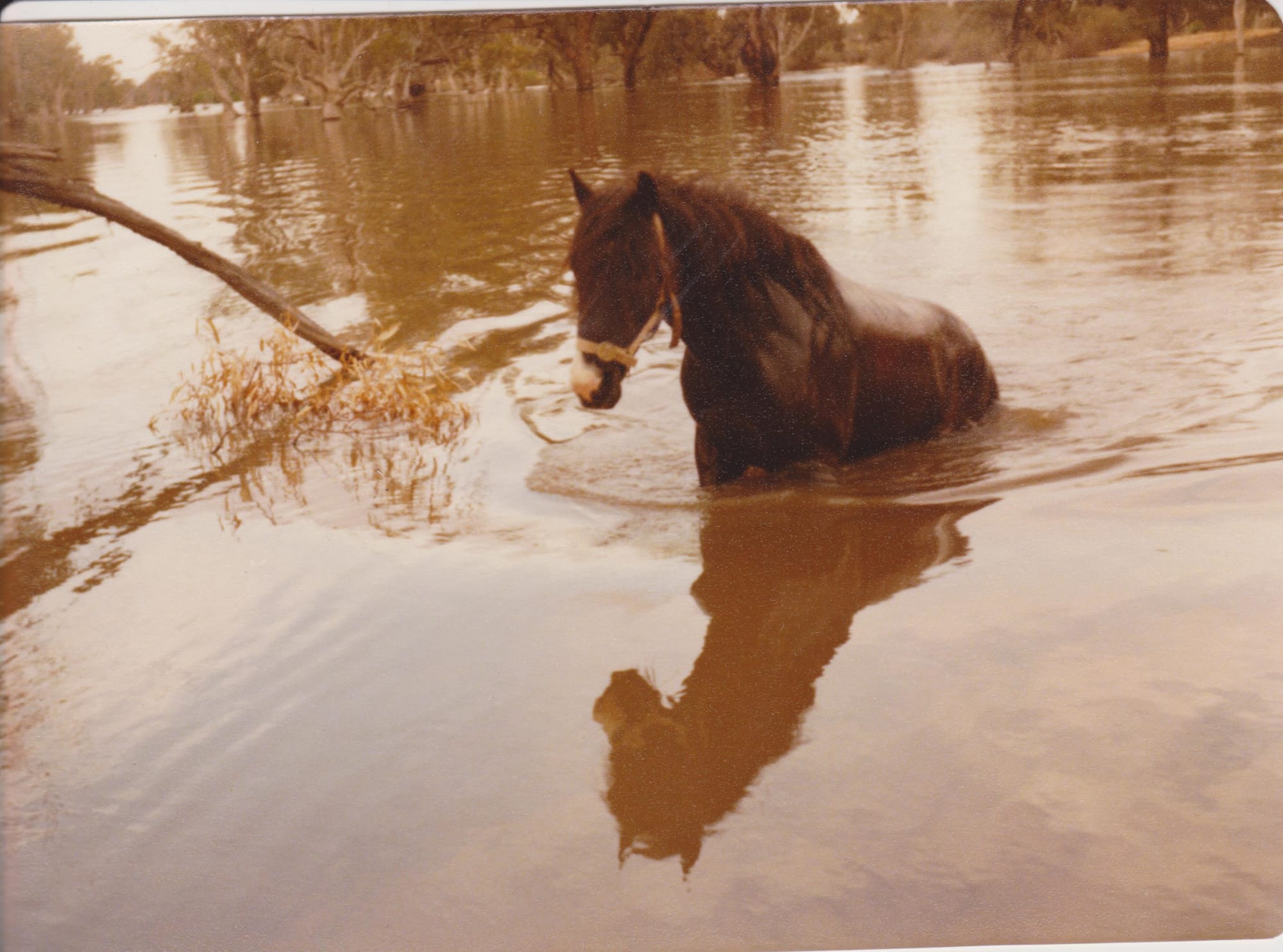 Qualco resident reflects on flood