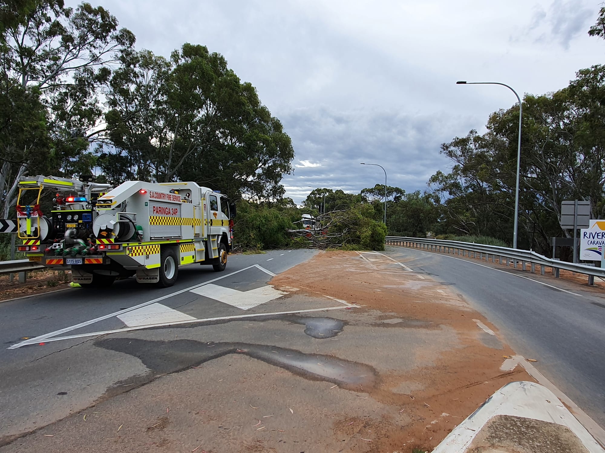 Fallen tree across Paringa causeway delays traffic