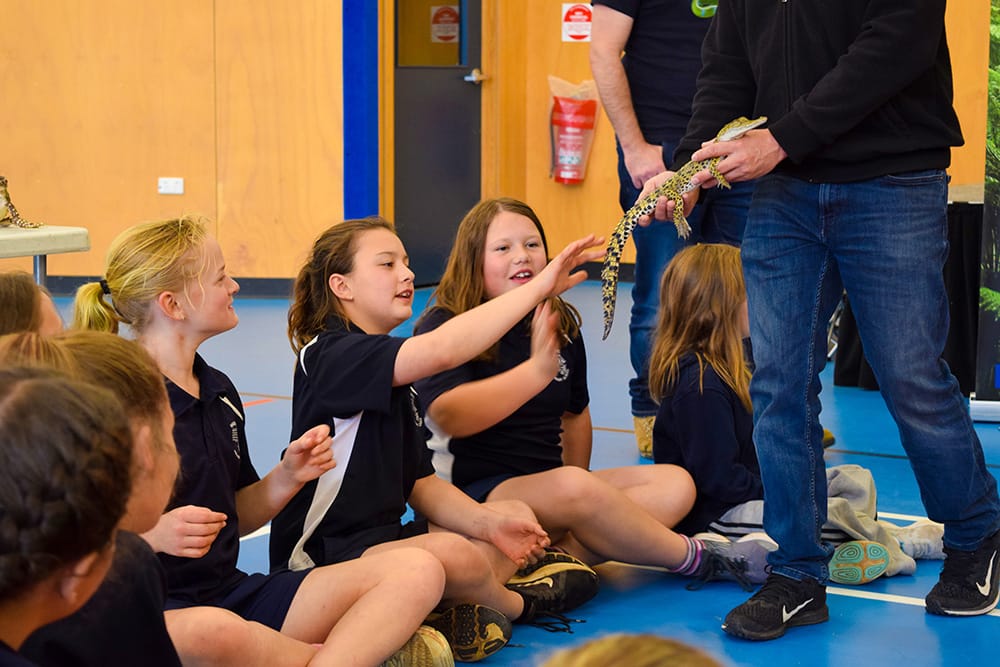 Students dazzled by live reptiles