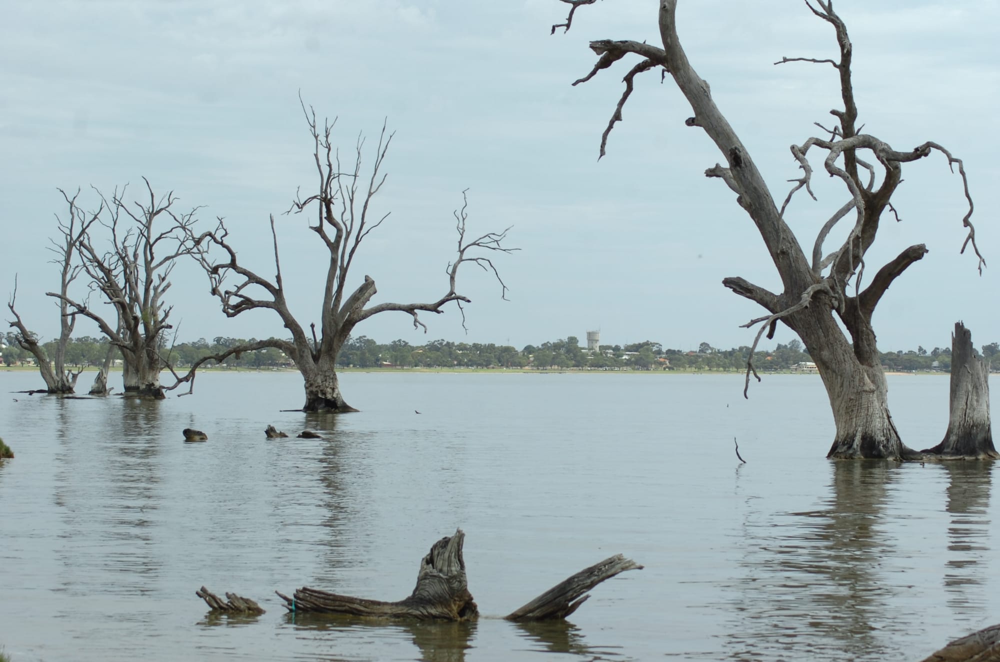 Hydro plant plan ‘risk to irrigators’