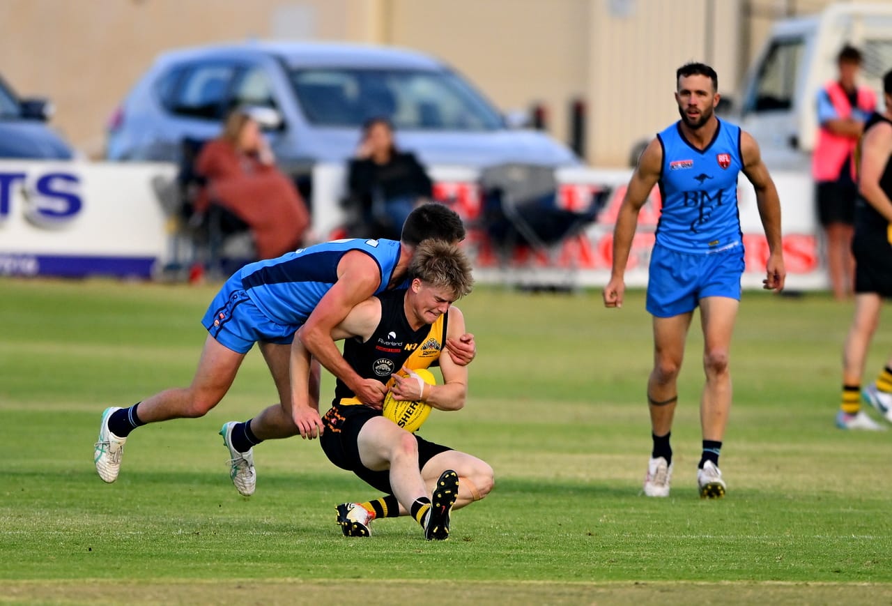 Roos flex their muscles at home