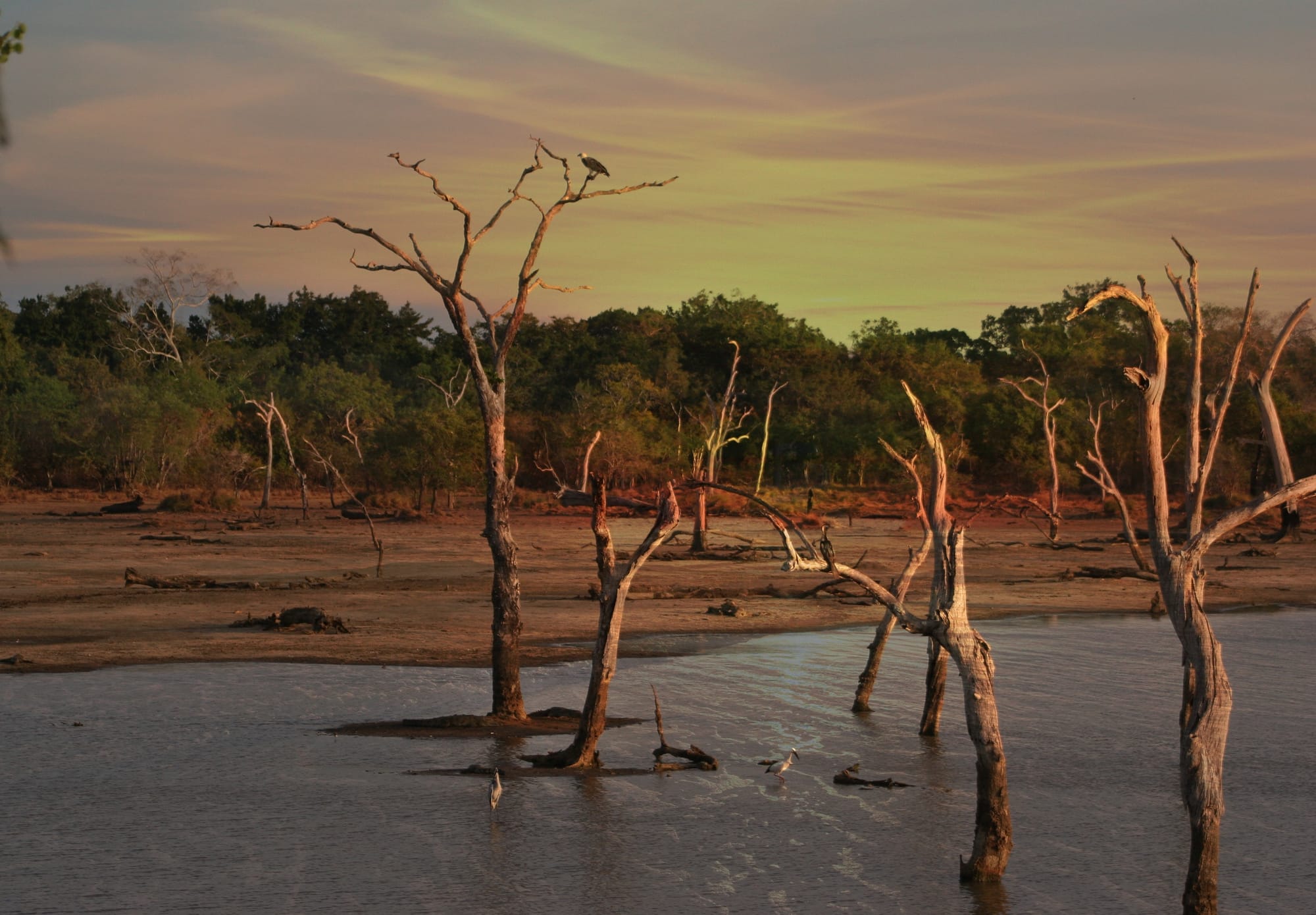 Drought resilience focus for upcoming ag forum