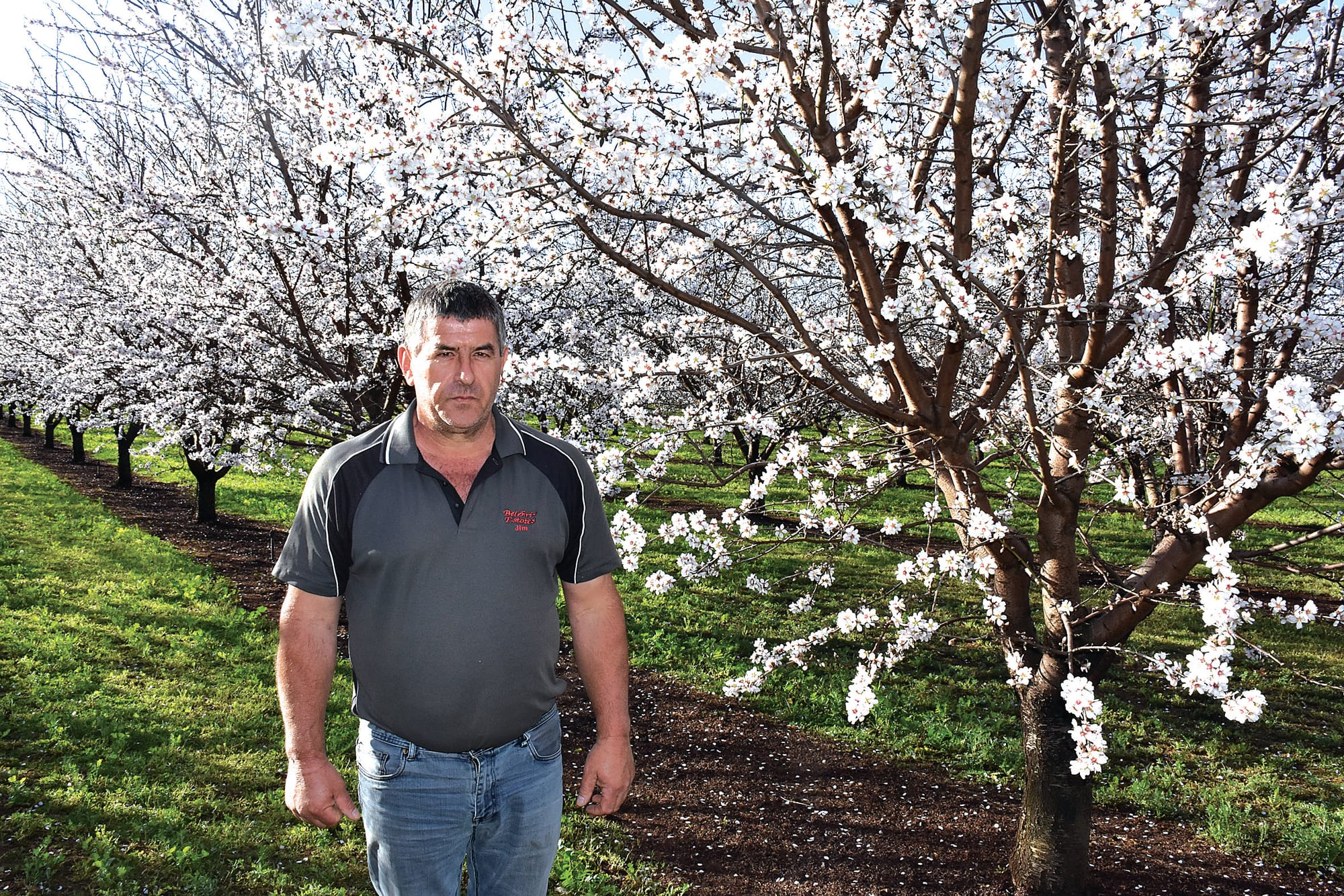 Cool temperatures slowing the bloom?