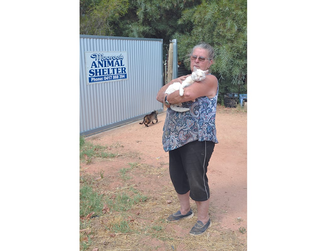 Shelter loses recovery appeal