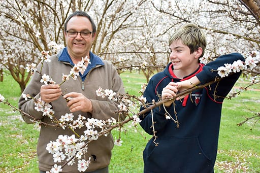Riverland irrigators beaming as water allocations reach 100 per cent… RAIN, RAIN, EVERYWHERE