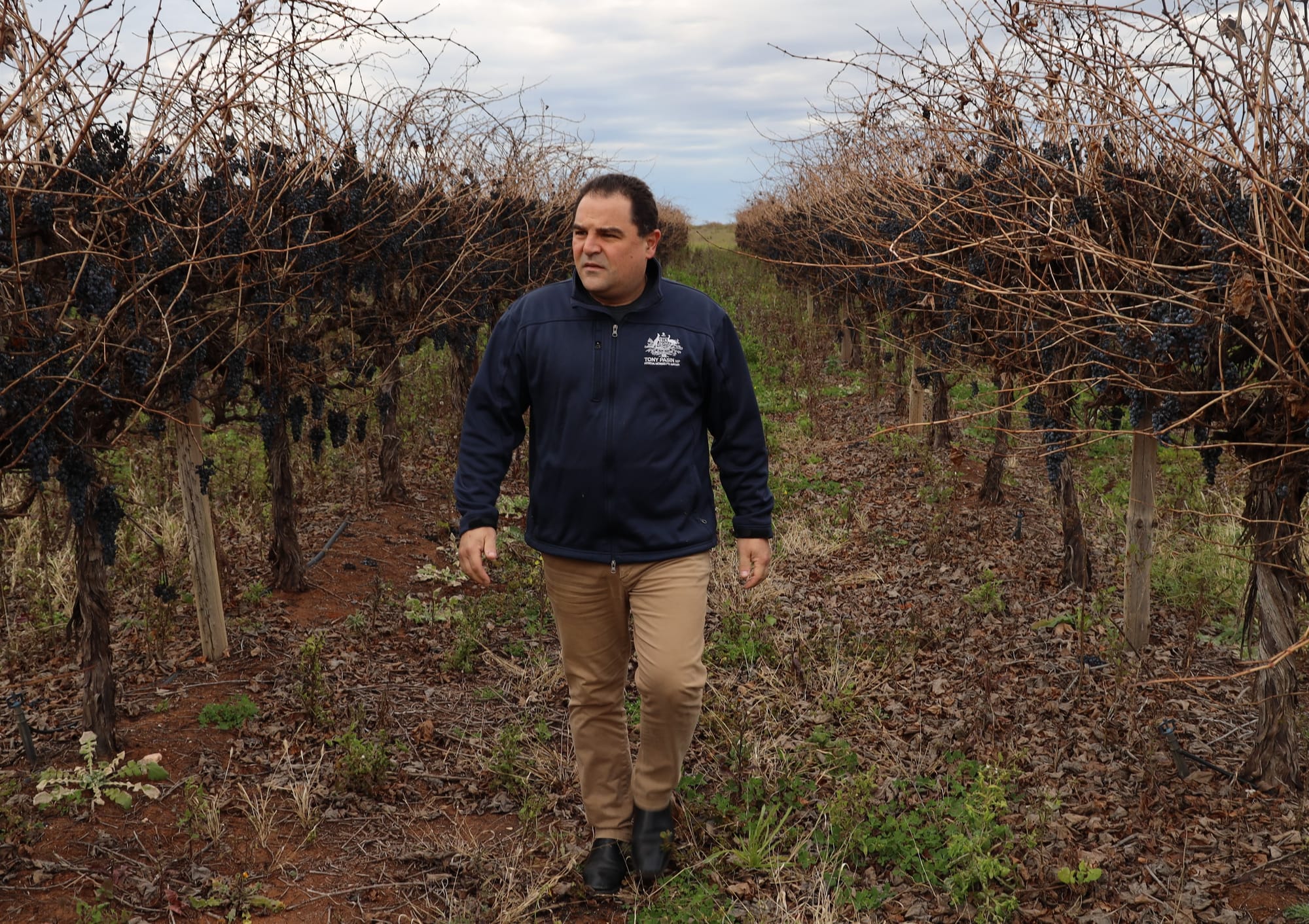 Our grape growers forgotten again?
