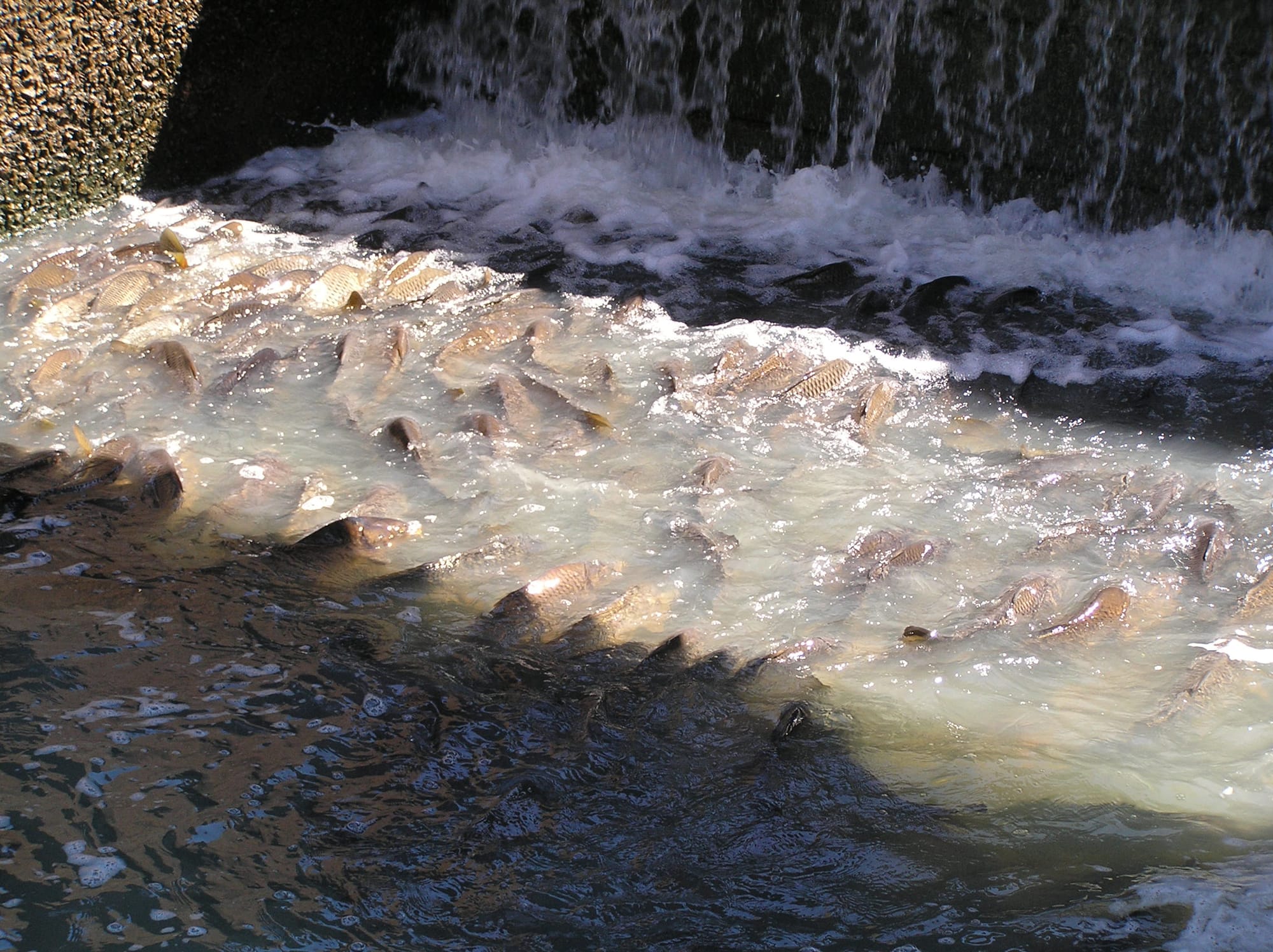 Water Matters: Who controls our river?