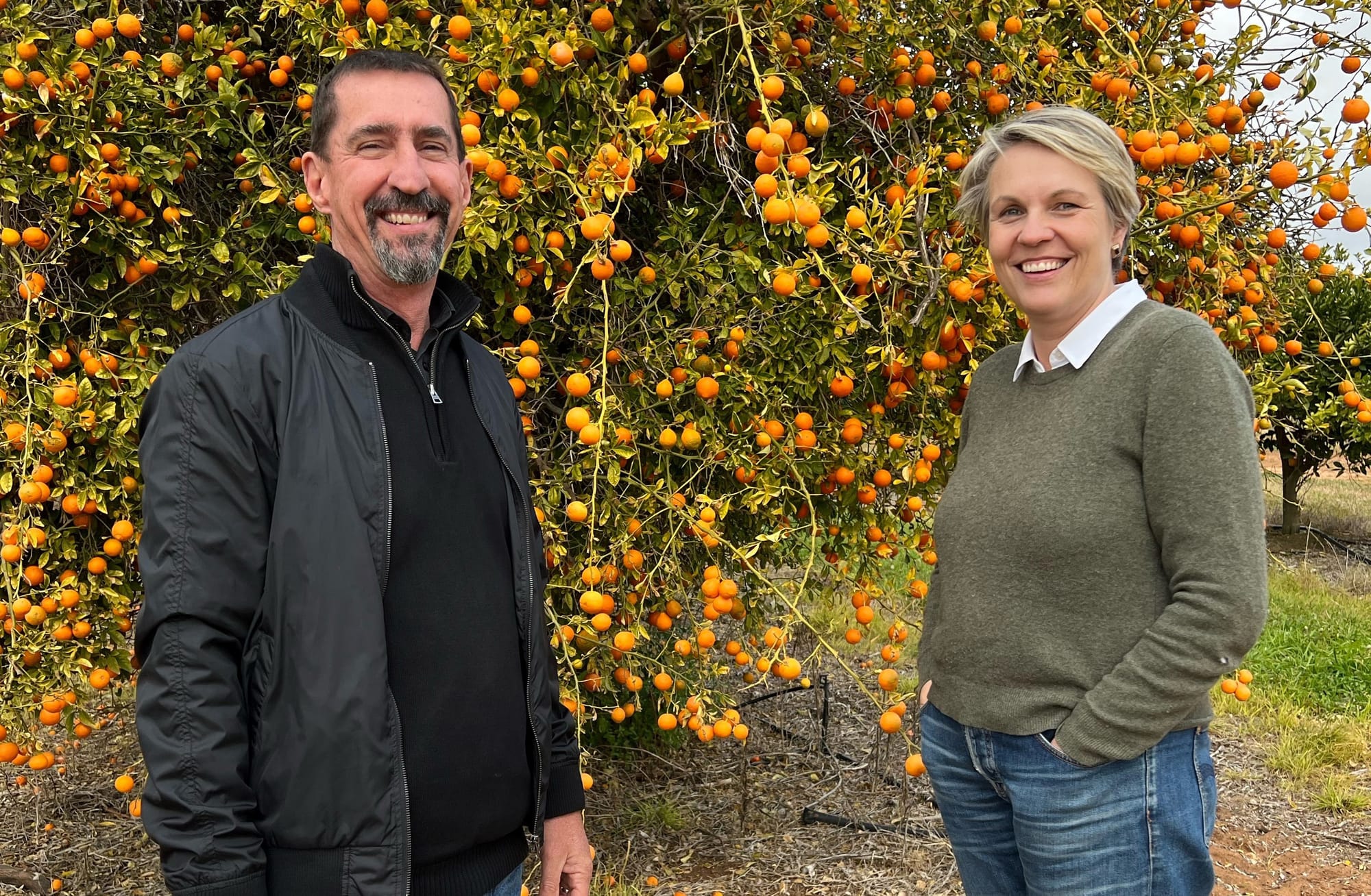 Plibersek’s flying Riverland visit