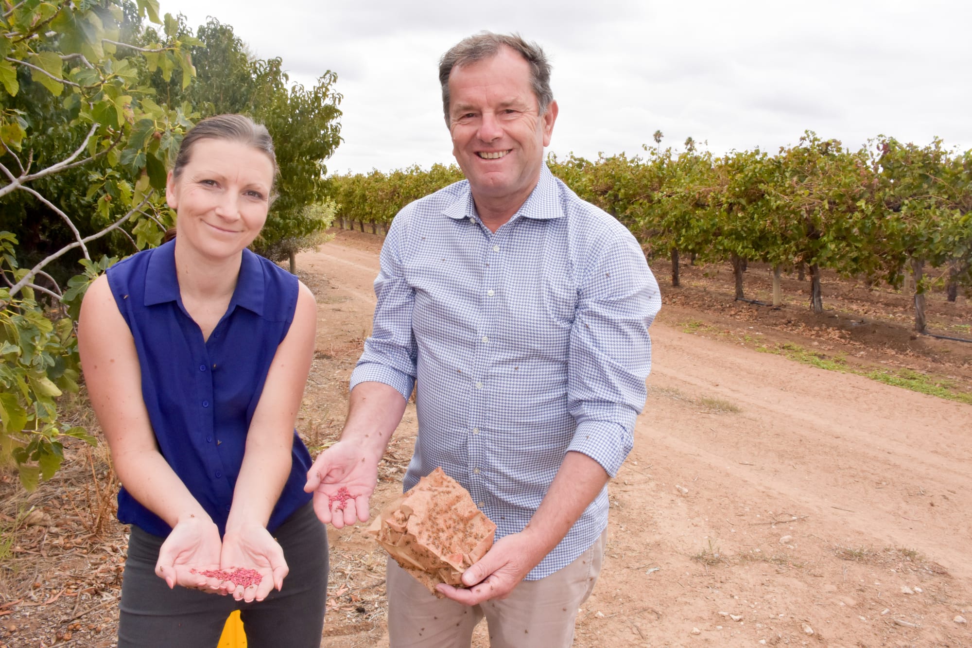 ‘Strong message’ still needed for fruit fly