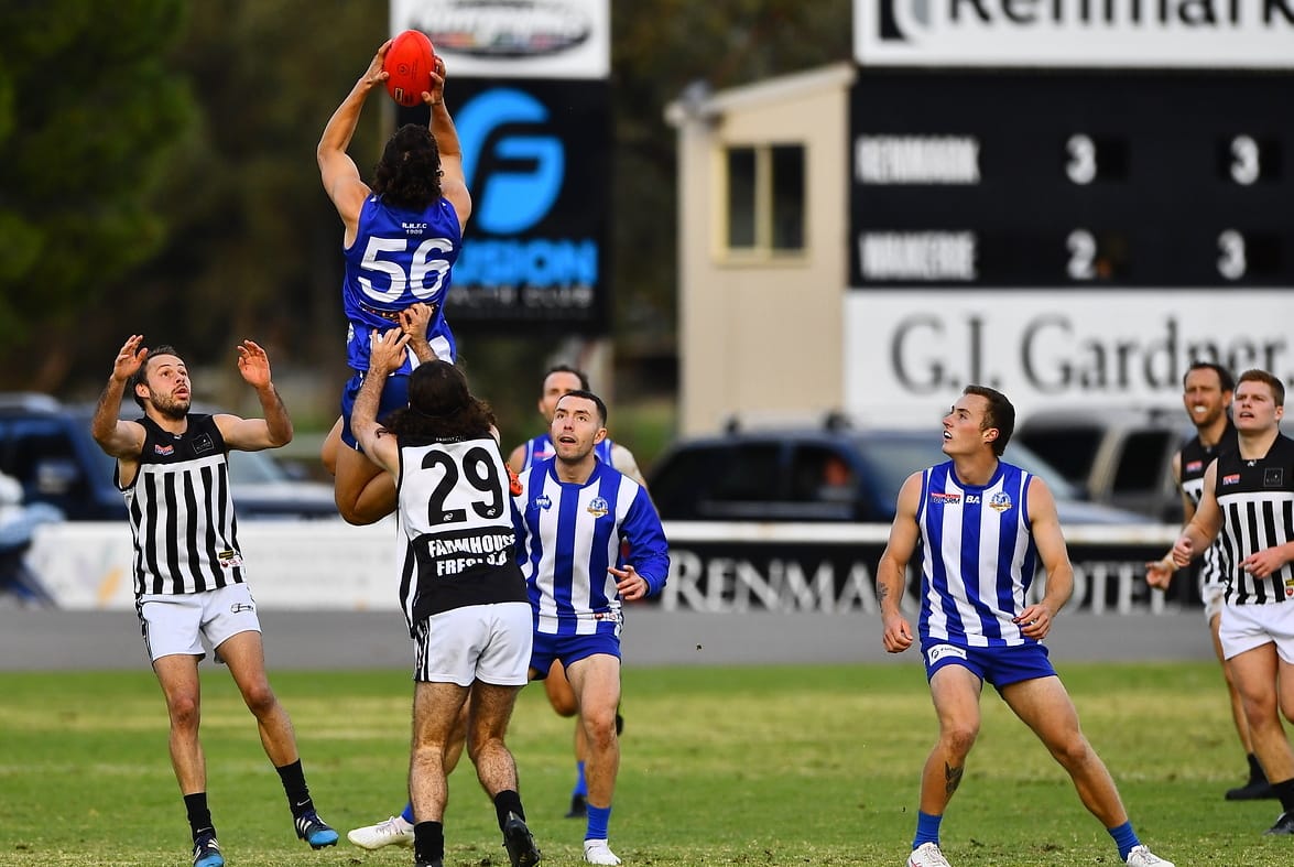 Scrappy Dogs get up for the Cup