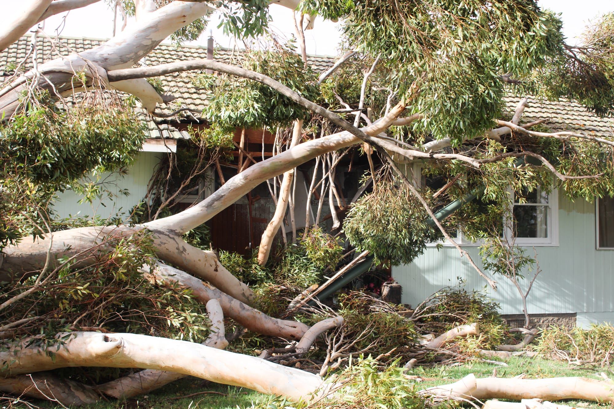 Waikerie’s tornado-like winds