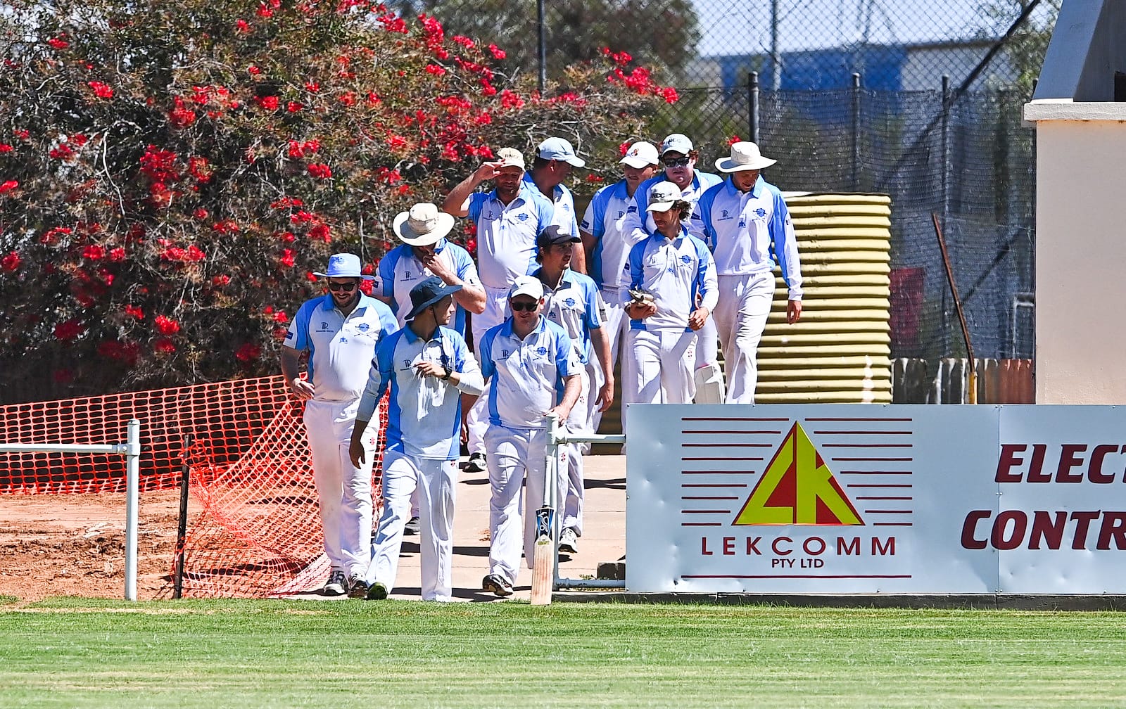 Bluetongues keep double dream alive