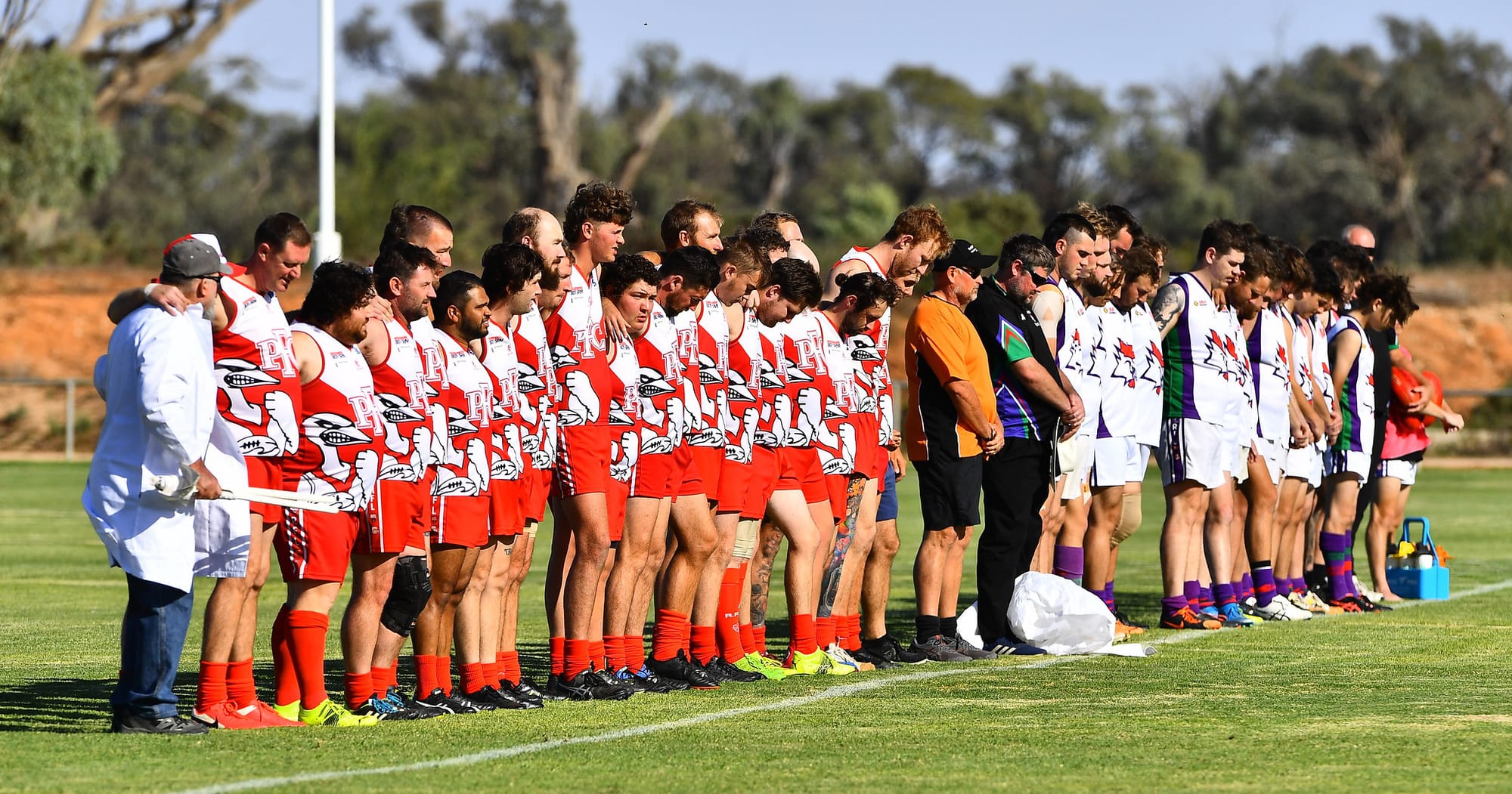 Magpies feel Redback venom