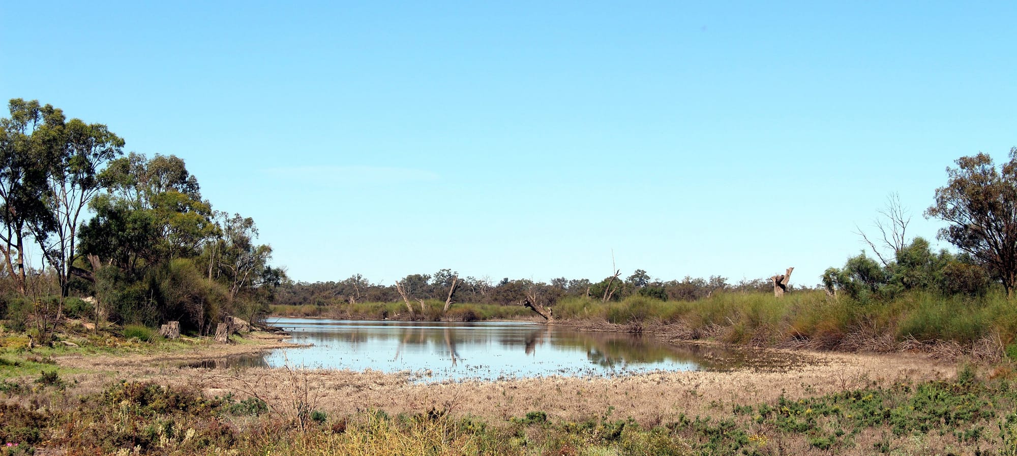 Shape new laws to restore SA biodiversity