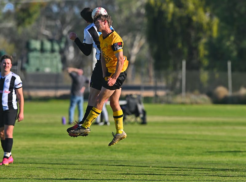 Hoffmann leads Loxton to impressive win