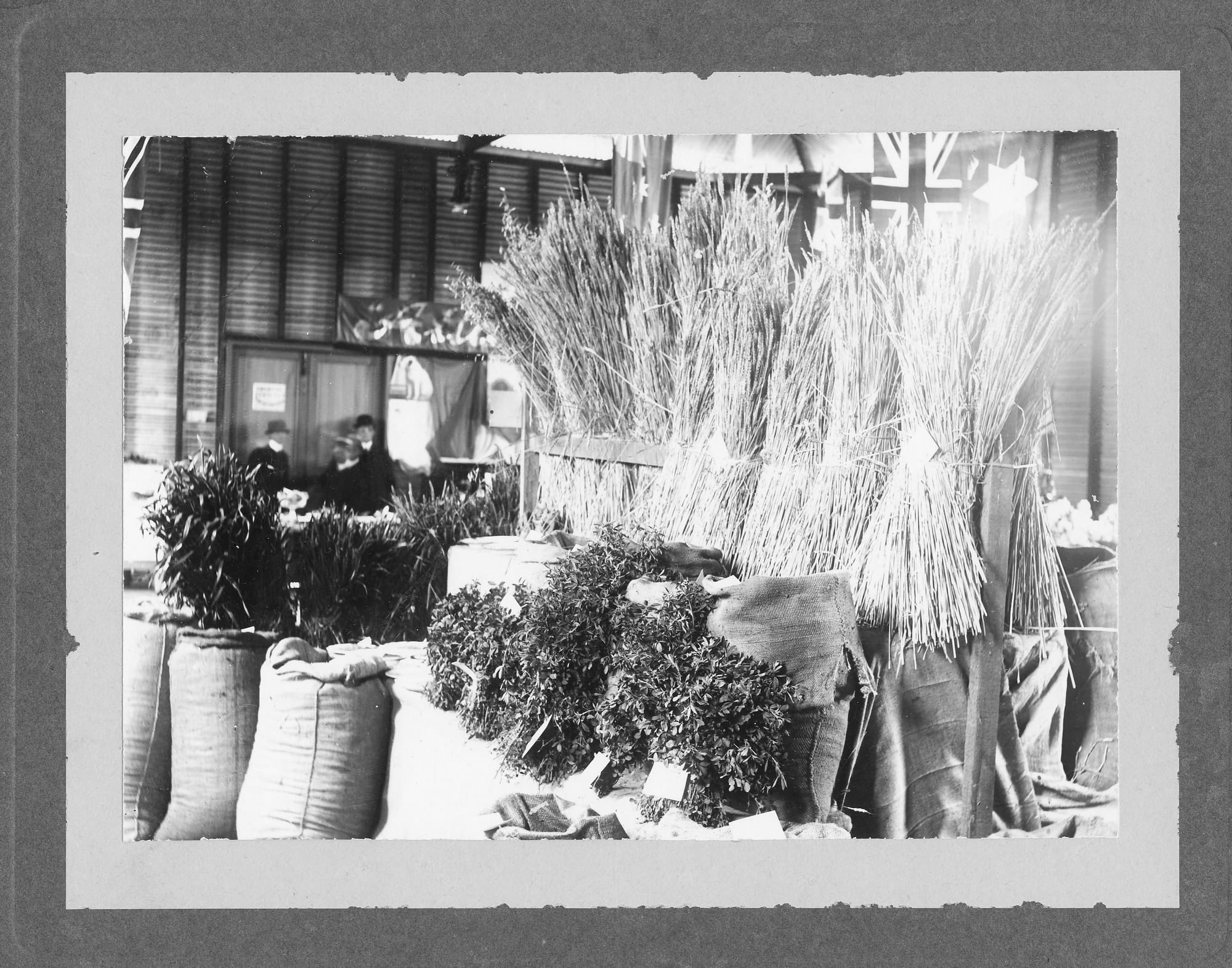 The Years Go By with Peter and Carla Magarey